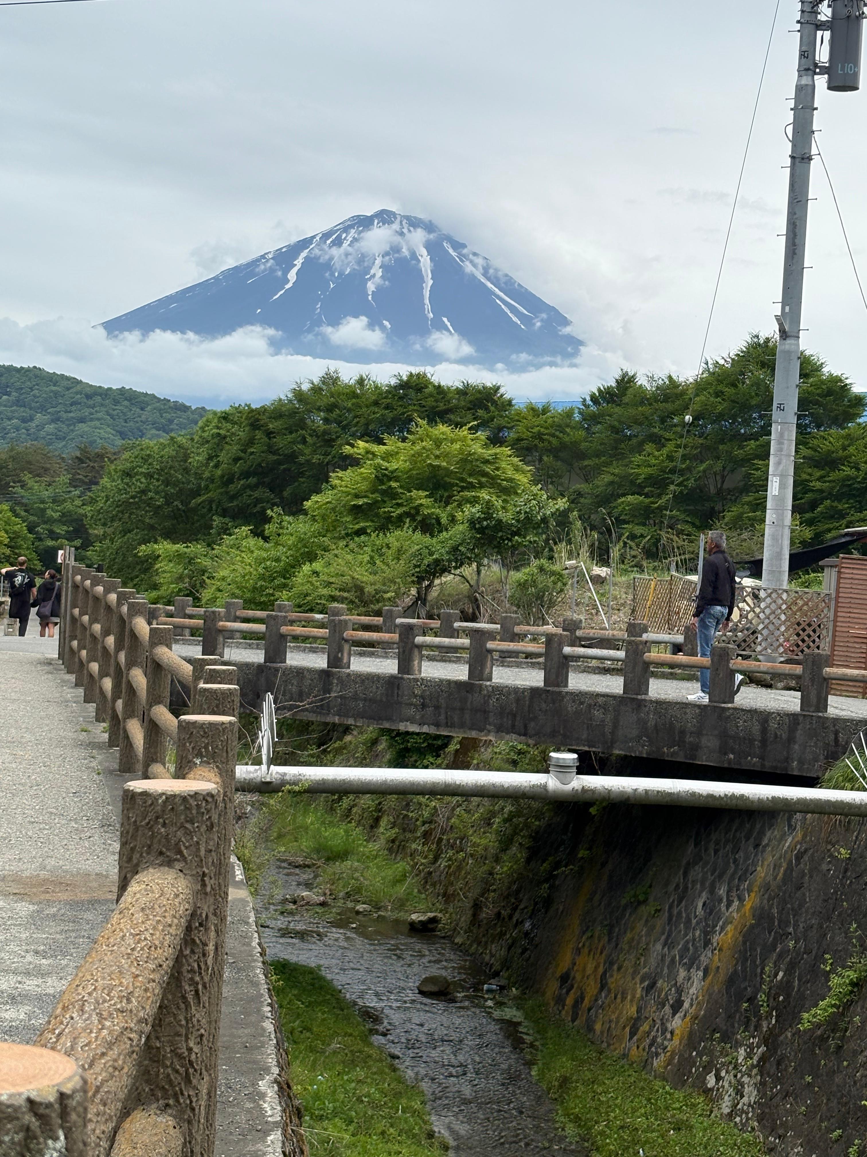 Tokyo to Mt. Fuji & Hakone: Private Full-Day Tour with English Driver