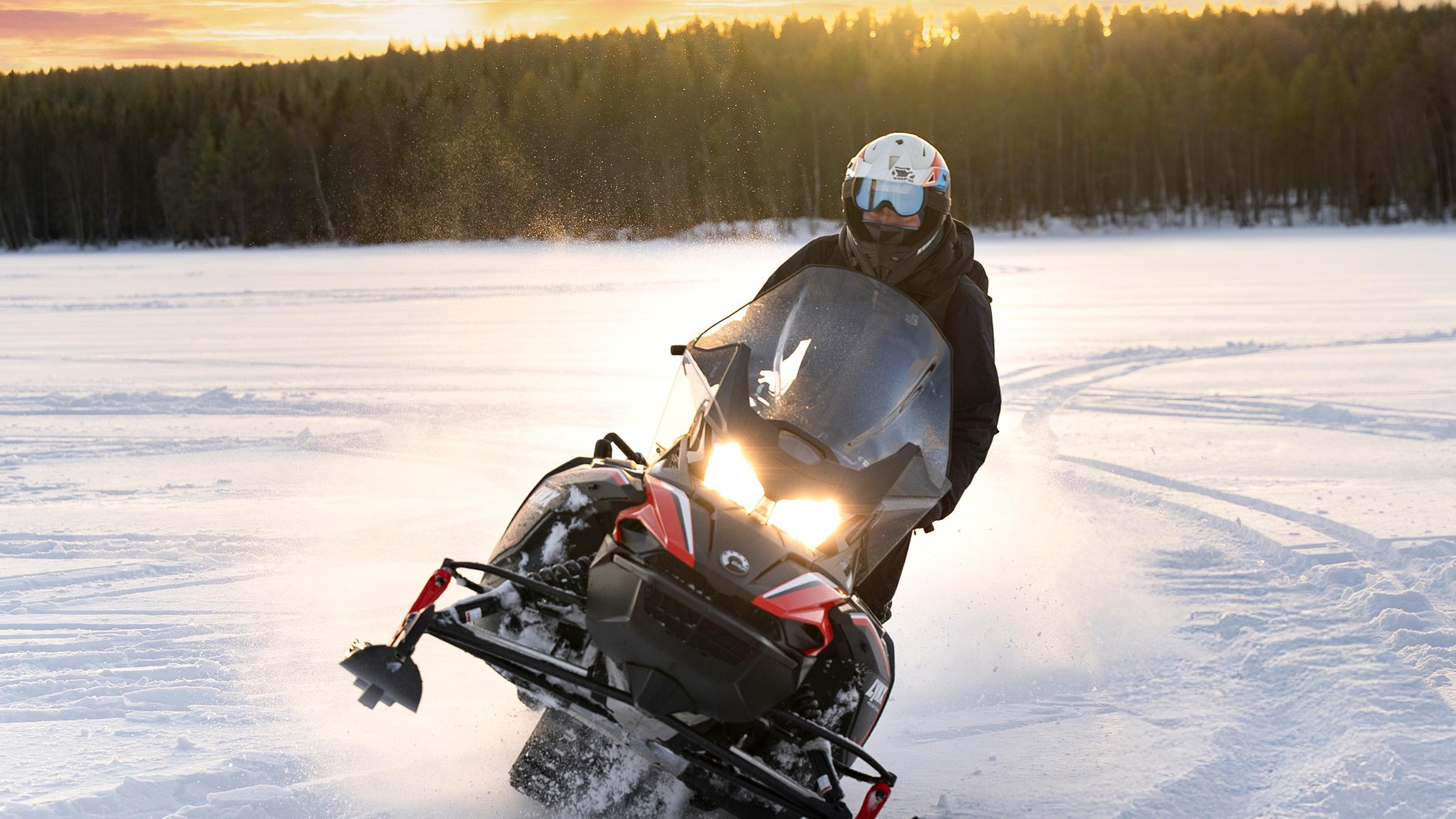 Rovaniemi Snowmobile Safari & Arctic Wildlife Day Tour