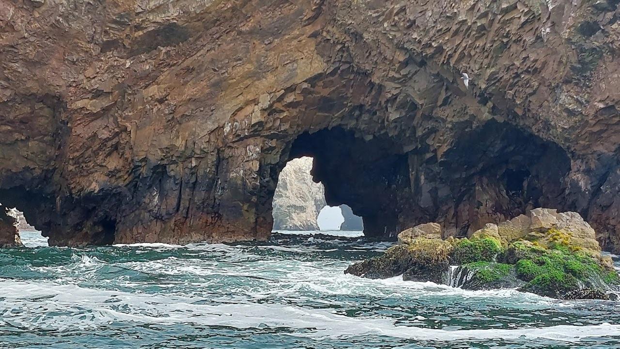Excursión de un día a Paracas y Huacachina: vida silvestre, aventura en el desierto y cata de vinos