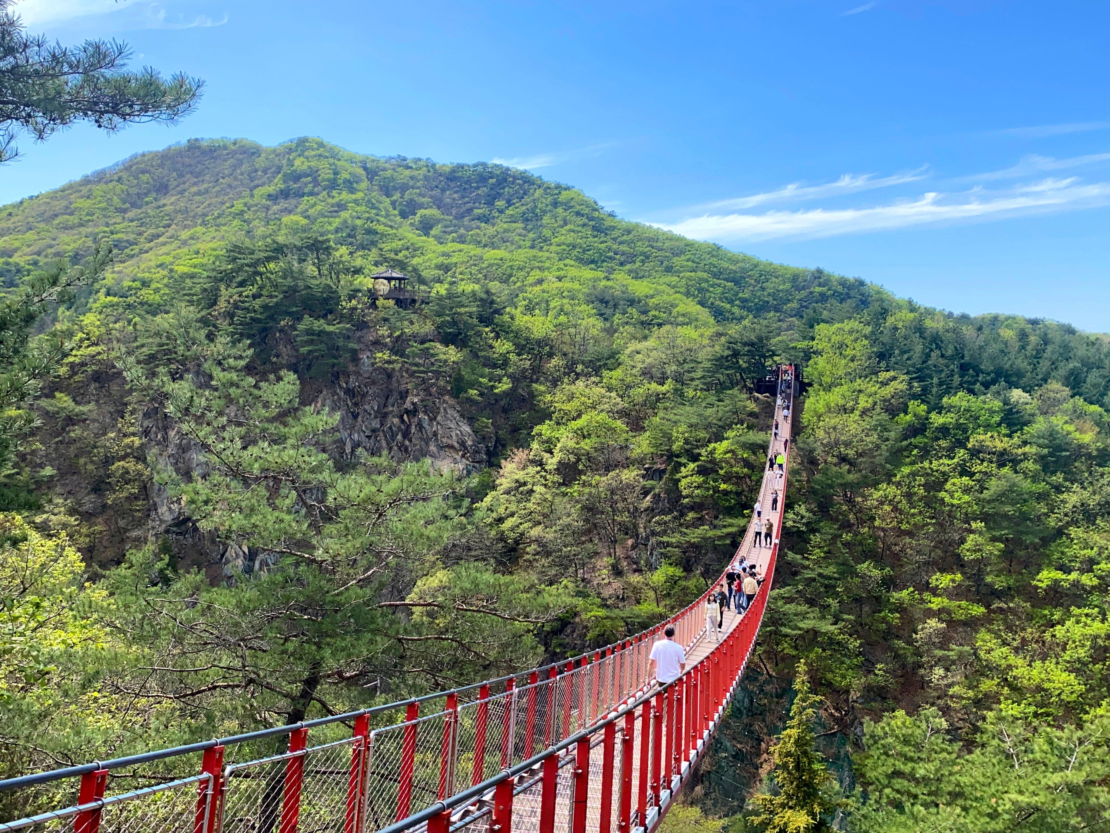 Seoul DMZ Day Tour: 3rd Tunnel, Dora Observatory & North Korean Defector Encounter