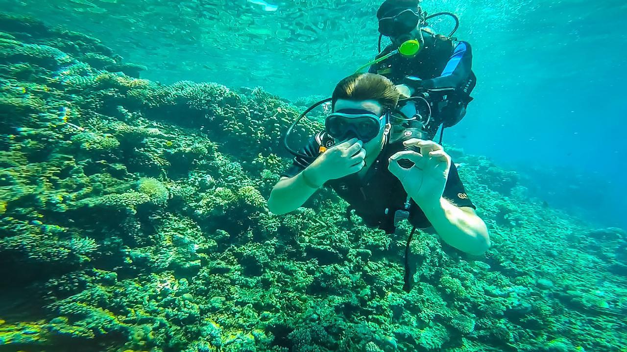 Sharm el-Sheikh: White Island & Ras Mohamed National Park Snorkeling Day Trip