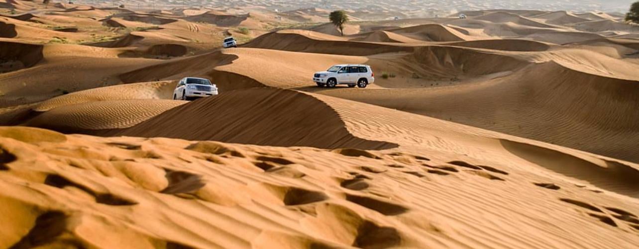 Doha Desert Adventure: Dune Bashing, Camel Rides & Sandboarding