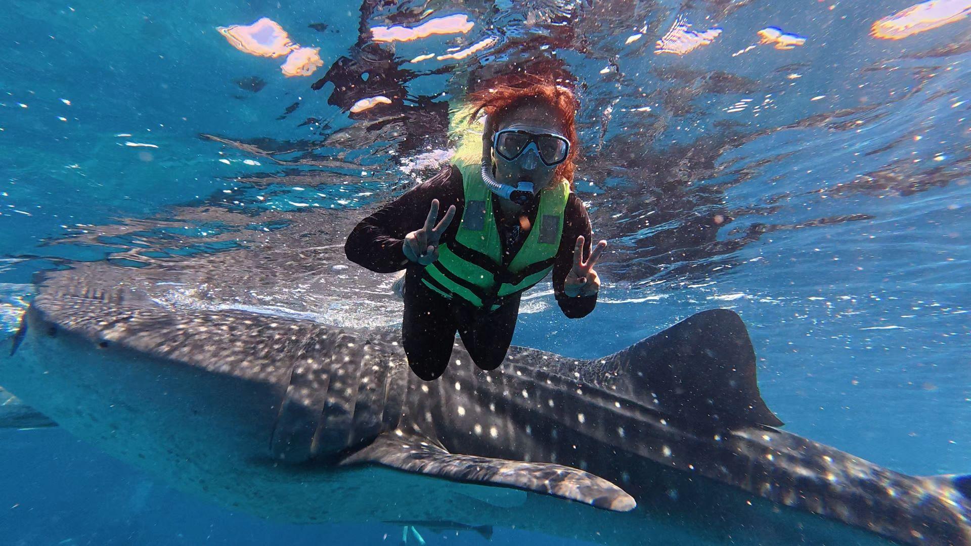 Private Oslob Whale Shark Expedition from Cebu