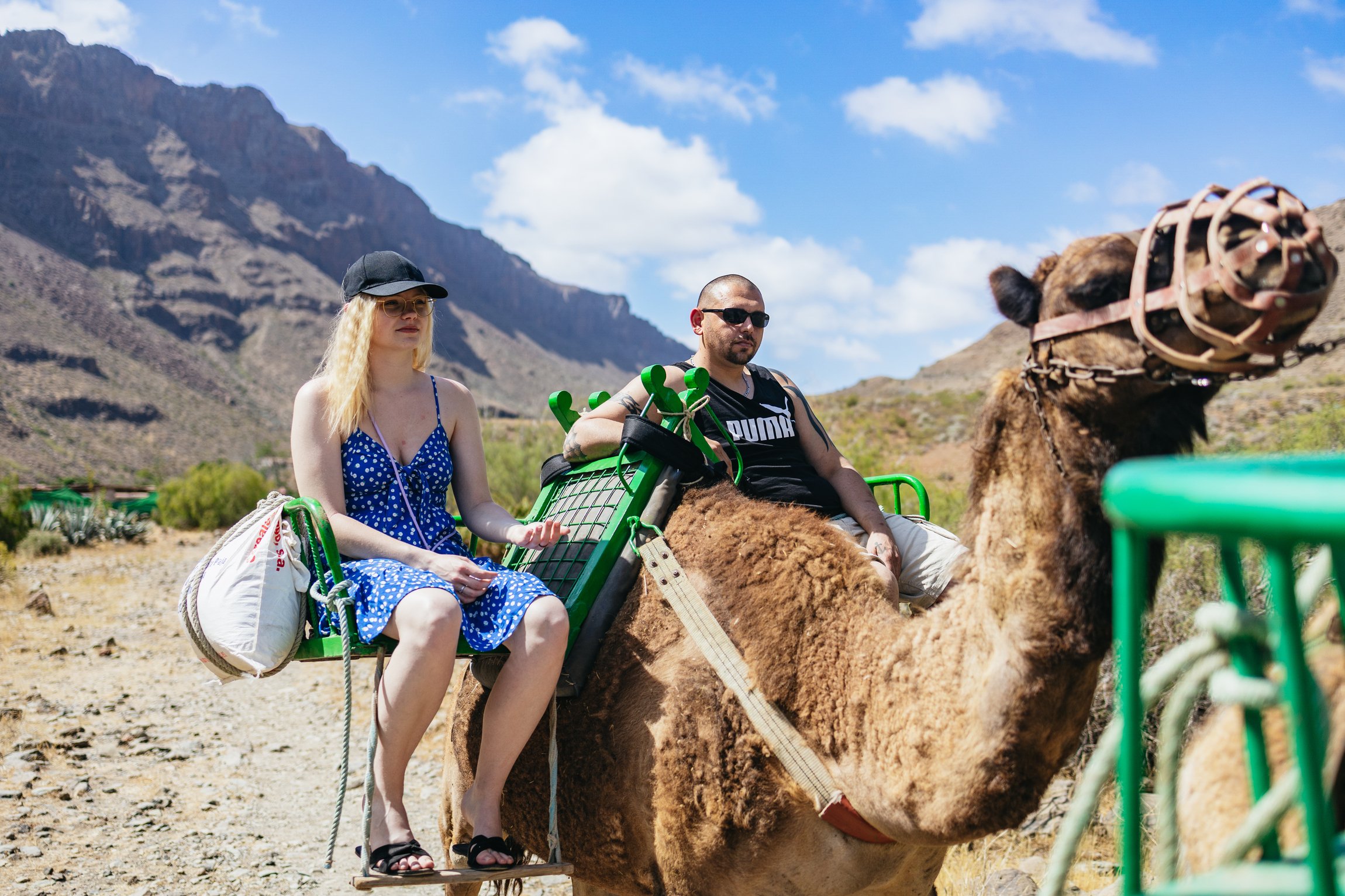 Gran Canaria Camel Safari in the Oasis of 1,000 Palms
