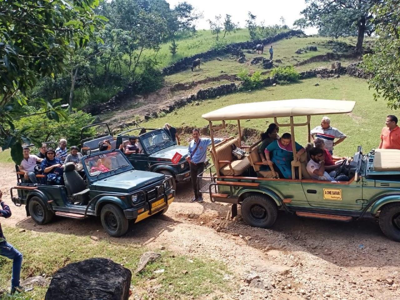 Kumbhalgarh Fort & Wildlife Safari Private Day Tour