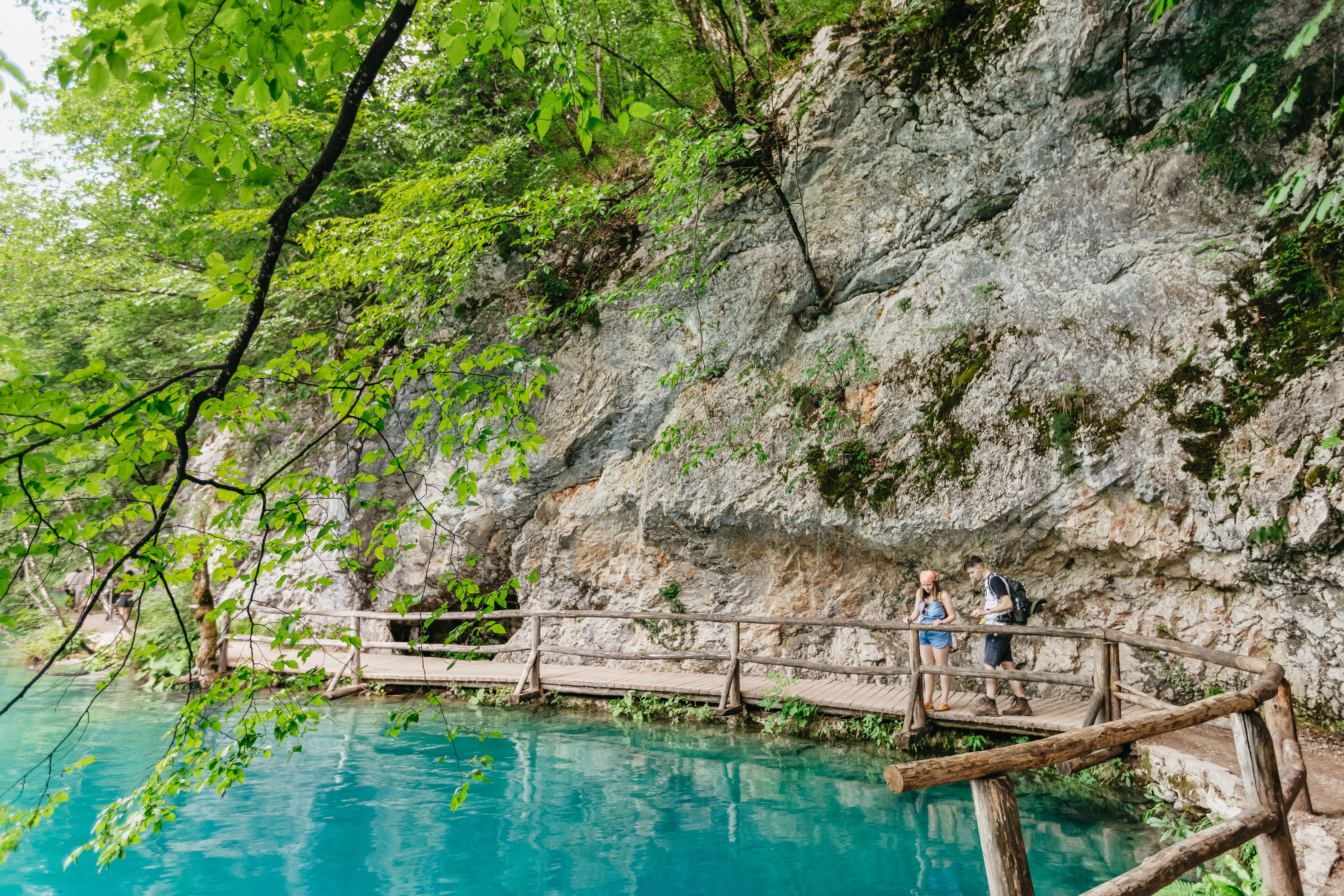 Split to Plitvice Lakes National Park Guided Day Trip