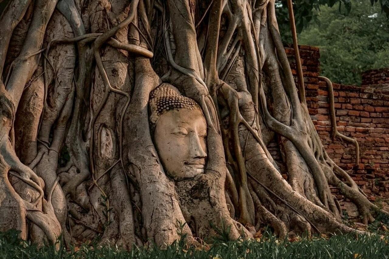 Bangkok to Ayutthaya Private Day Charter