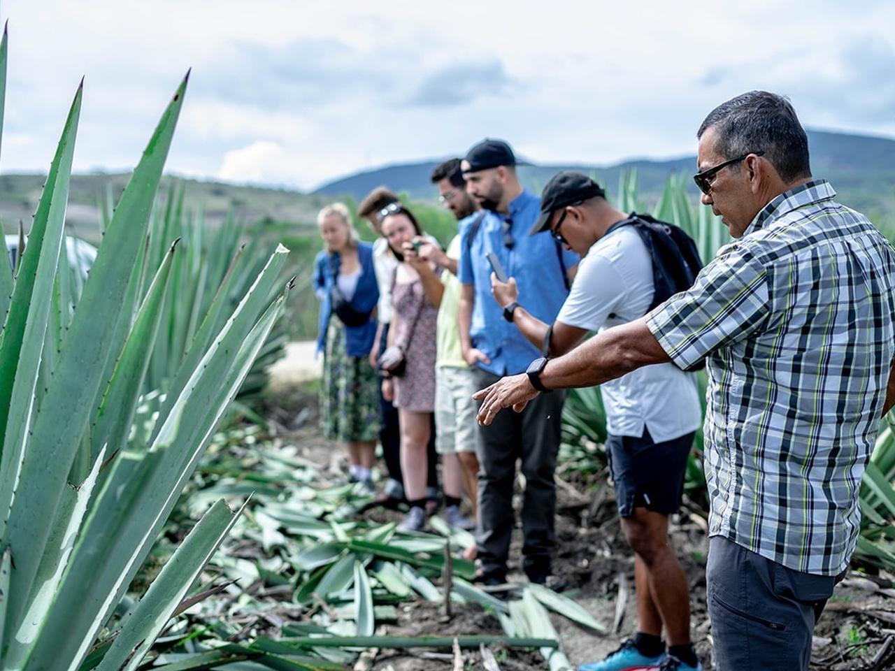Matatlán Mezcal Distillery Experience with Tastings