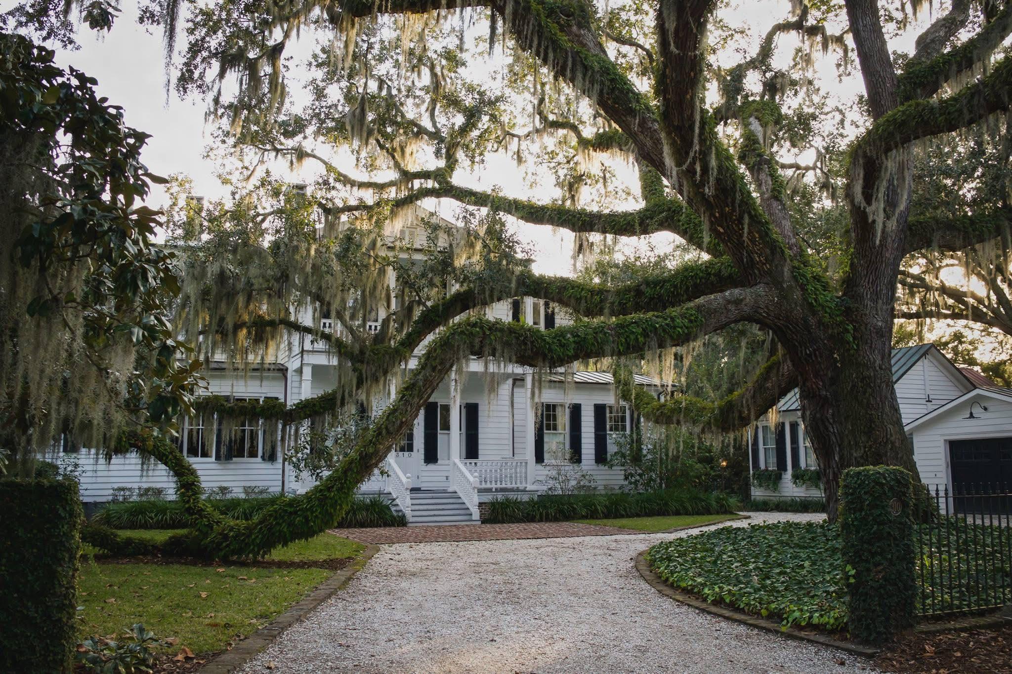 Historic Beaufort Golf Cart Adventure
