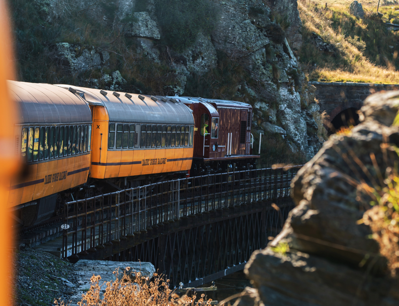South Island guided tour photo — image 7