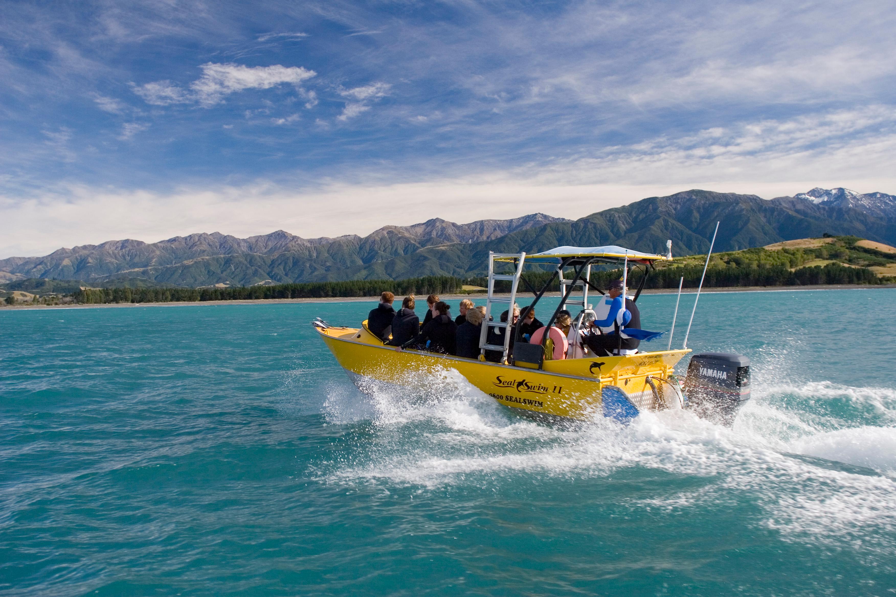 Kaikōura: Snorkeling with New Zealand Fur Seals