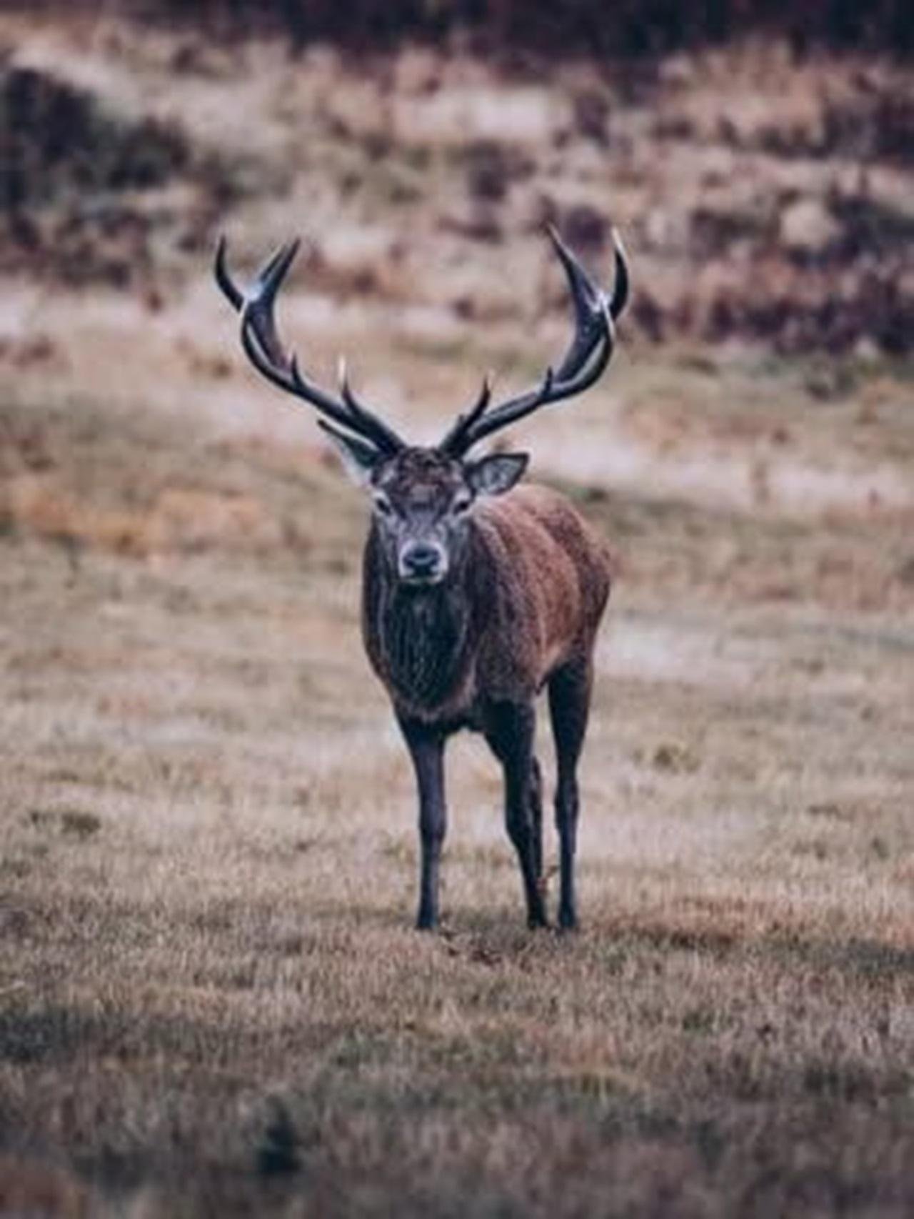 Periyar Wildlife Sanctuary Day Trip from Cochin