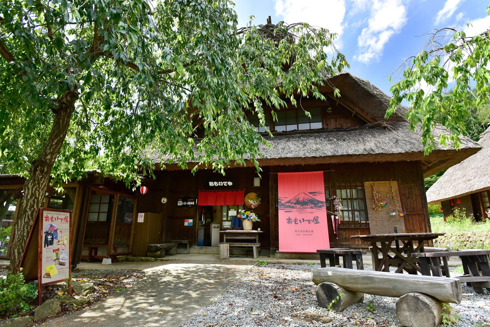 Mt. Fuji Day Tour: Lake Kawaguchi, Oshino Hakkai & Chureito Pagoda from Tokyo