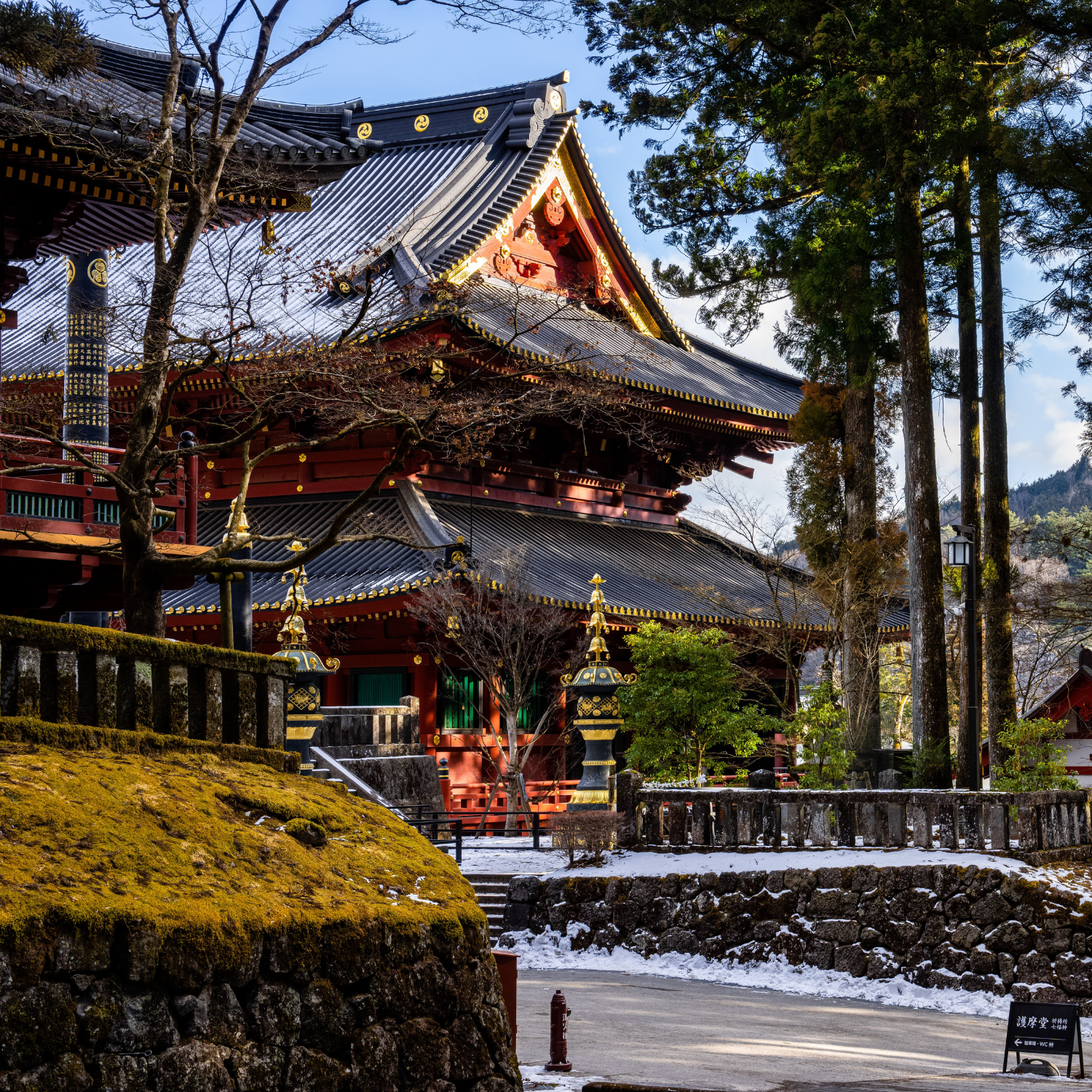 Private Nikko Day Tour from Tokyo – Fully Customizable