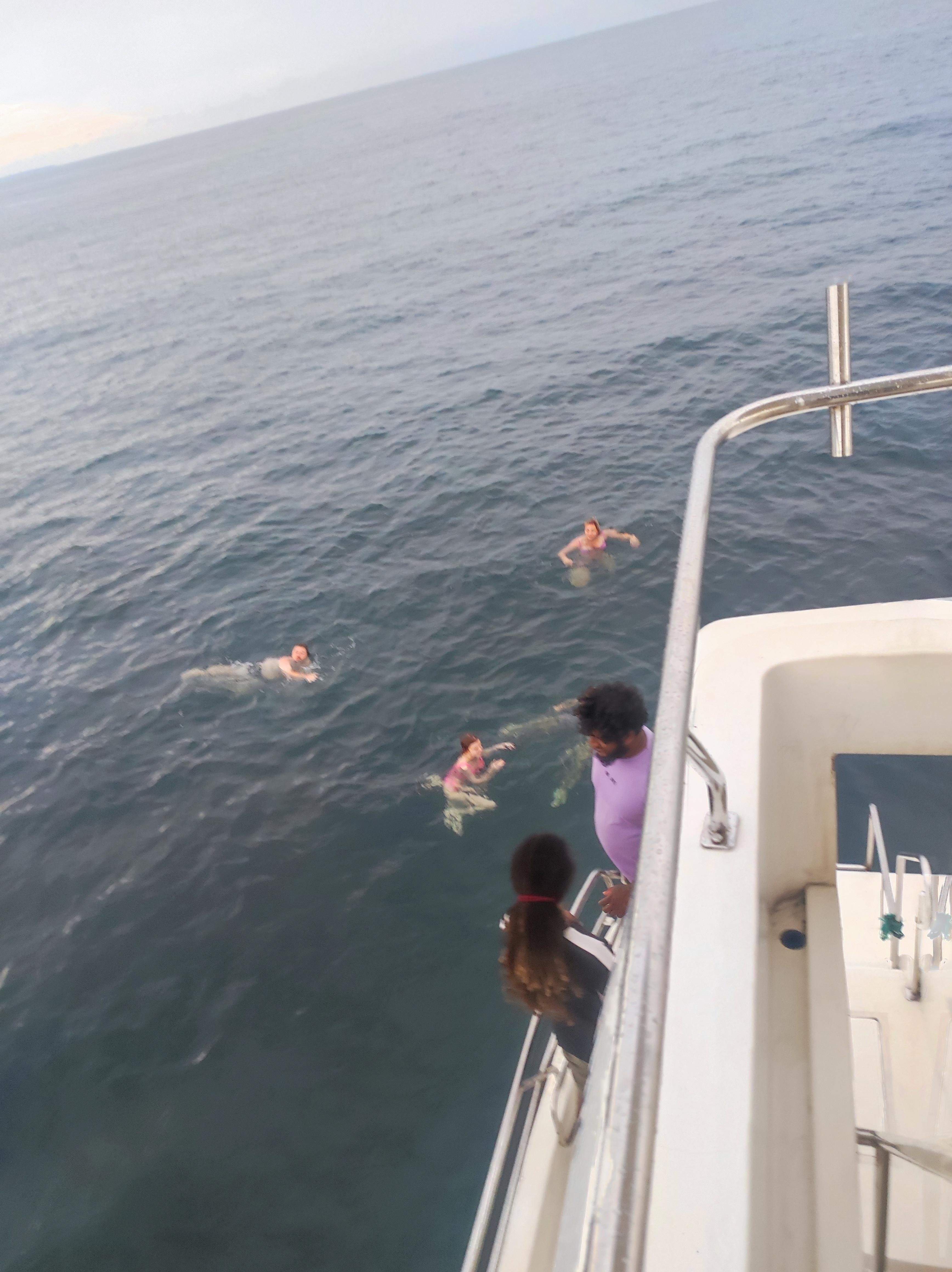 Mirissa Whale & Dolphin Spotting Cruise