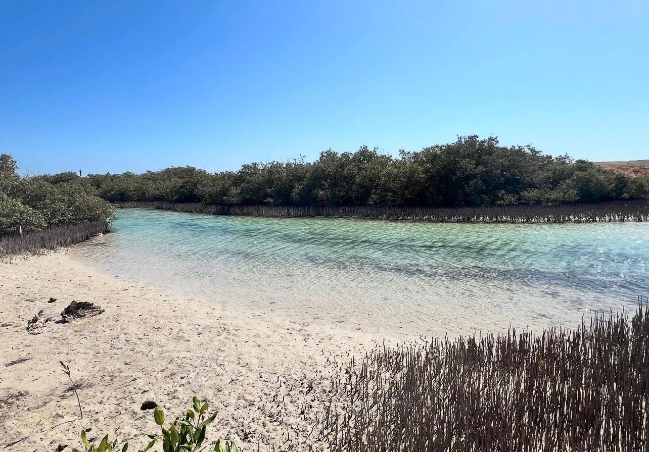 Ras Mohammed National Park Half-Day Bus Tour