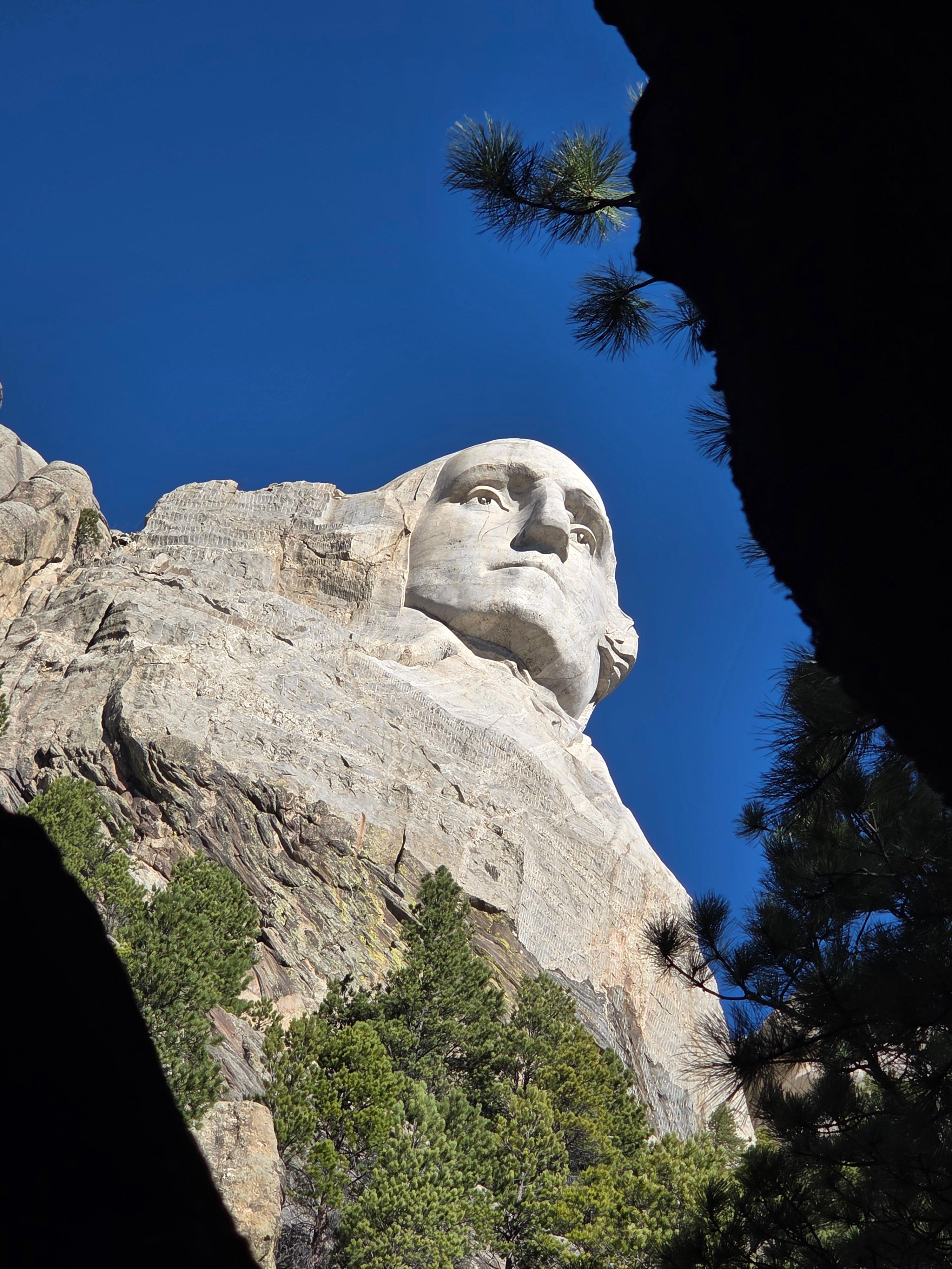 Black Hills Signature Tour: Rushmore, Crazy Horse & Wildlife Loop
