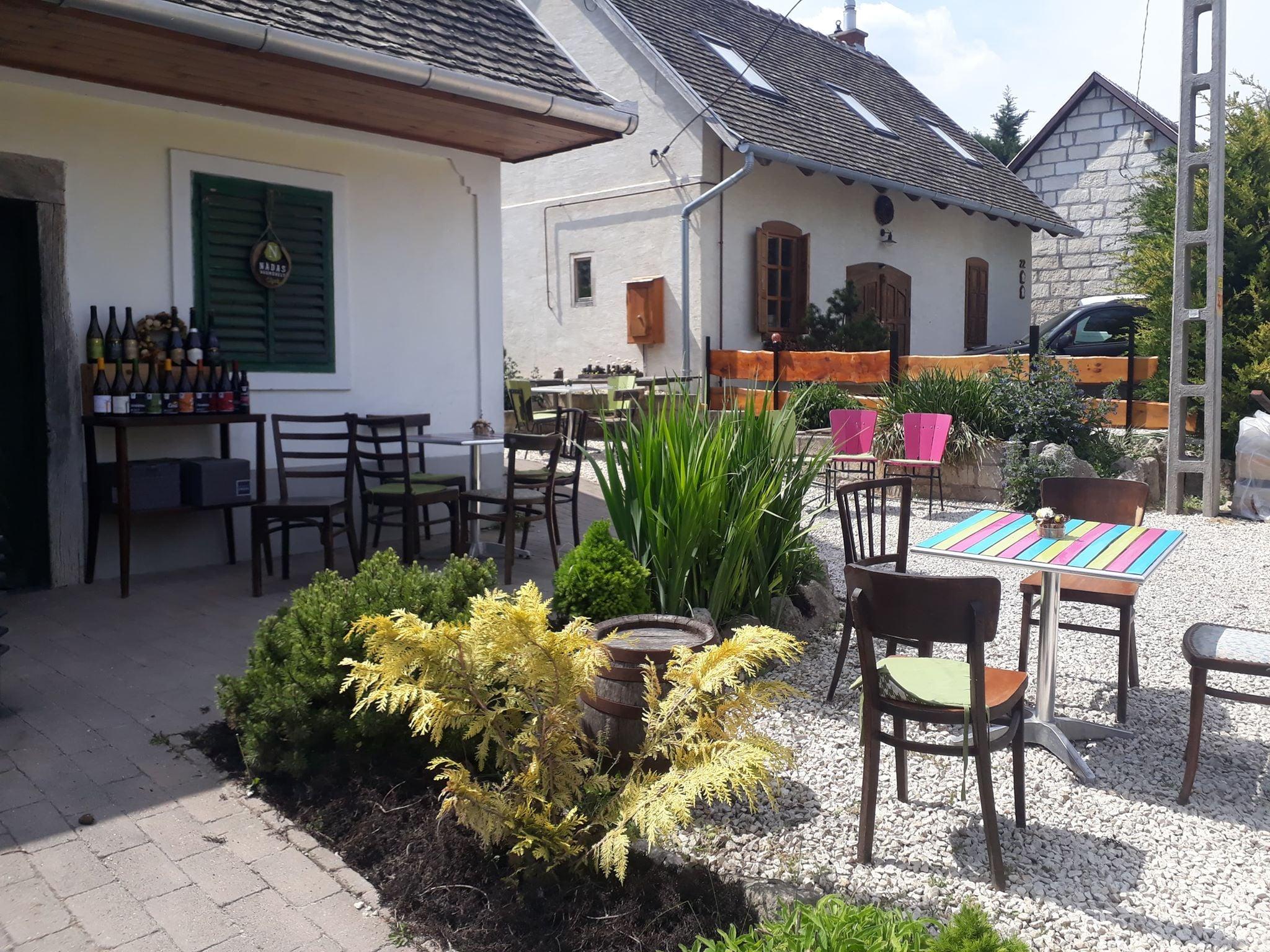 Etyek Family Winery Experience with Traditional Tastings