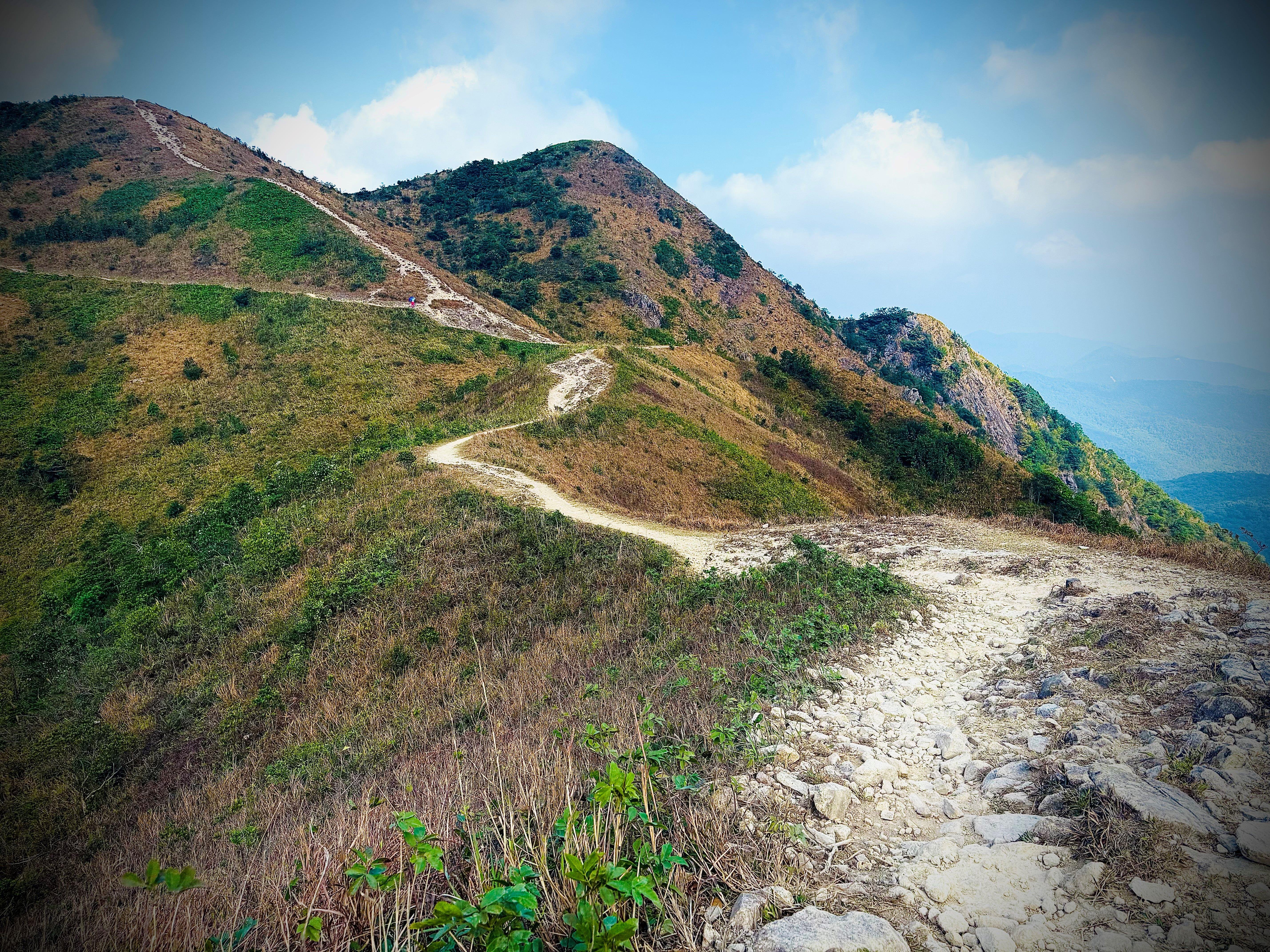 Ma On Shan Ridge & Hunchbacks Advanced Full-Day Hike