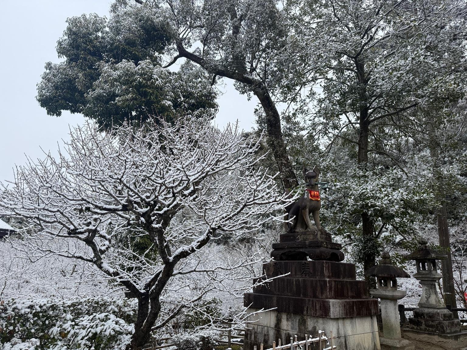 Kyoto: Privat heldagstur til høydepunktene med bil og guide