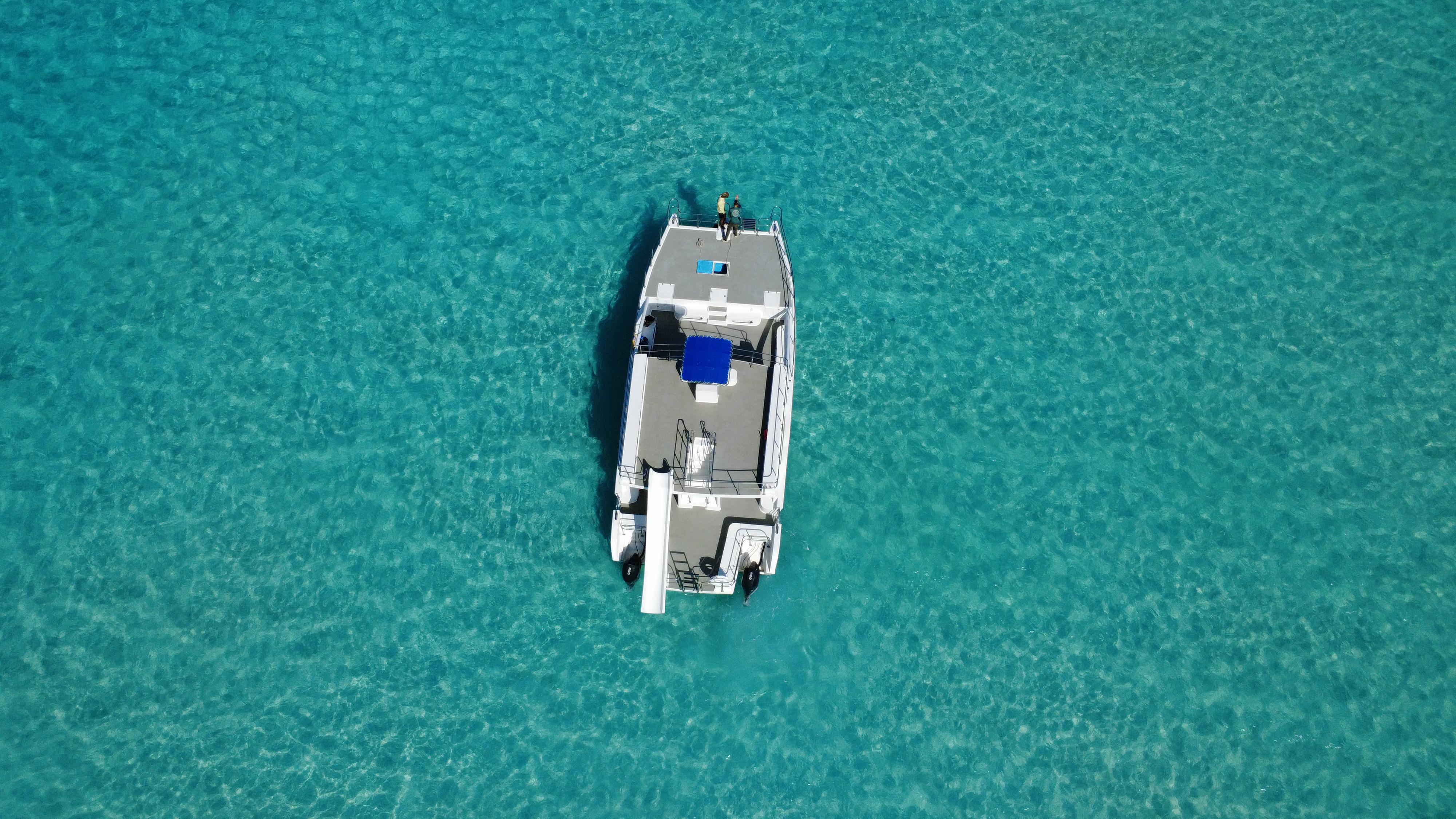 Nassau 3-Island Speedboat Adventure: Pigs, Turtles & Snorkeling