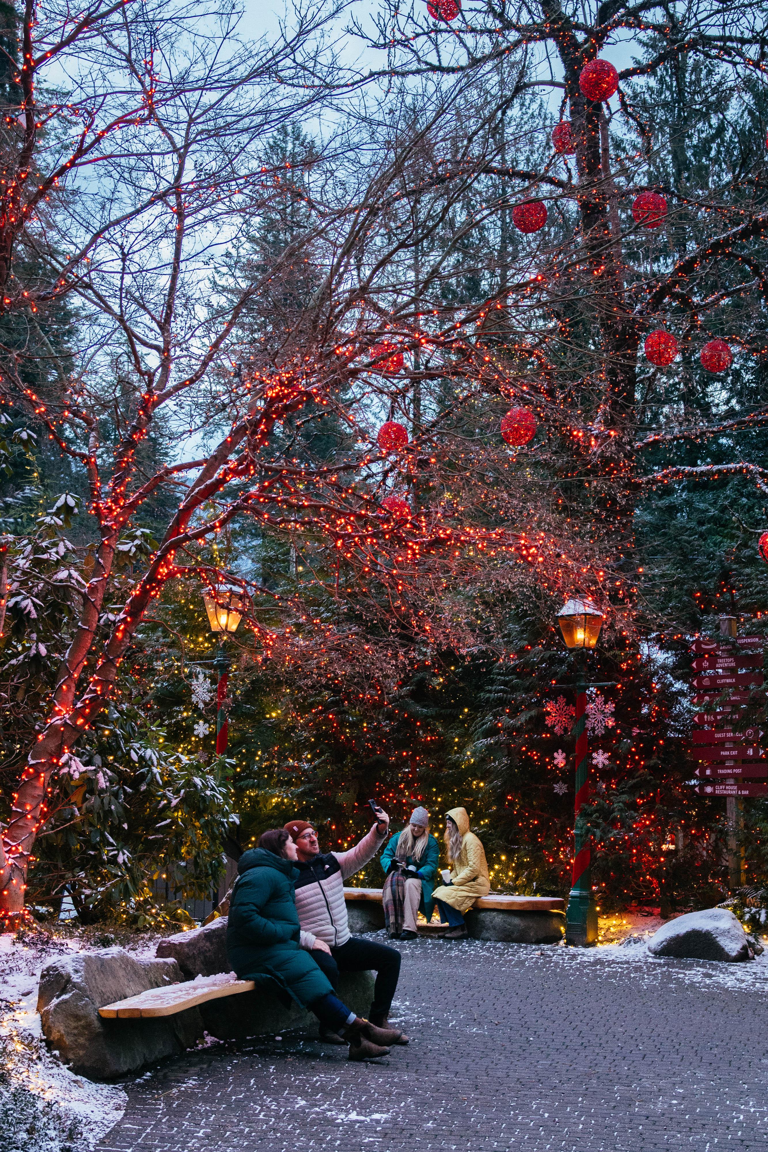 Capilano Suspension Bridge Park Entry