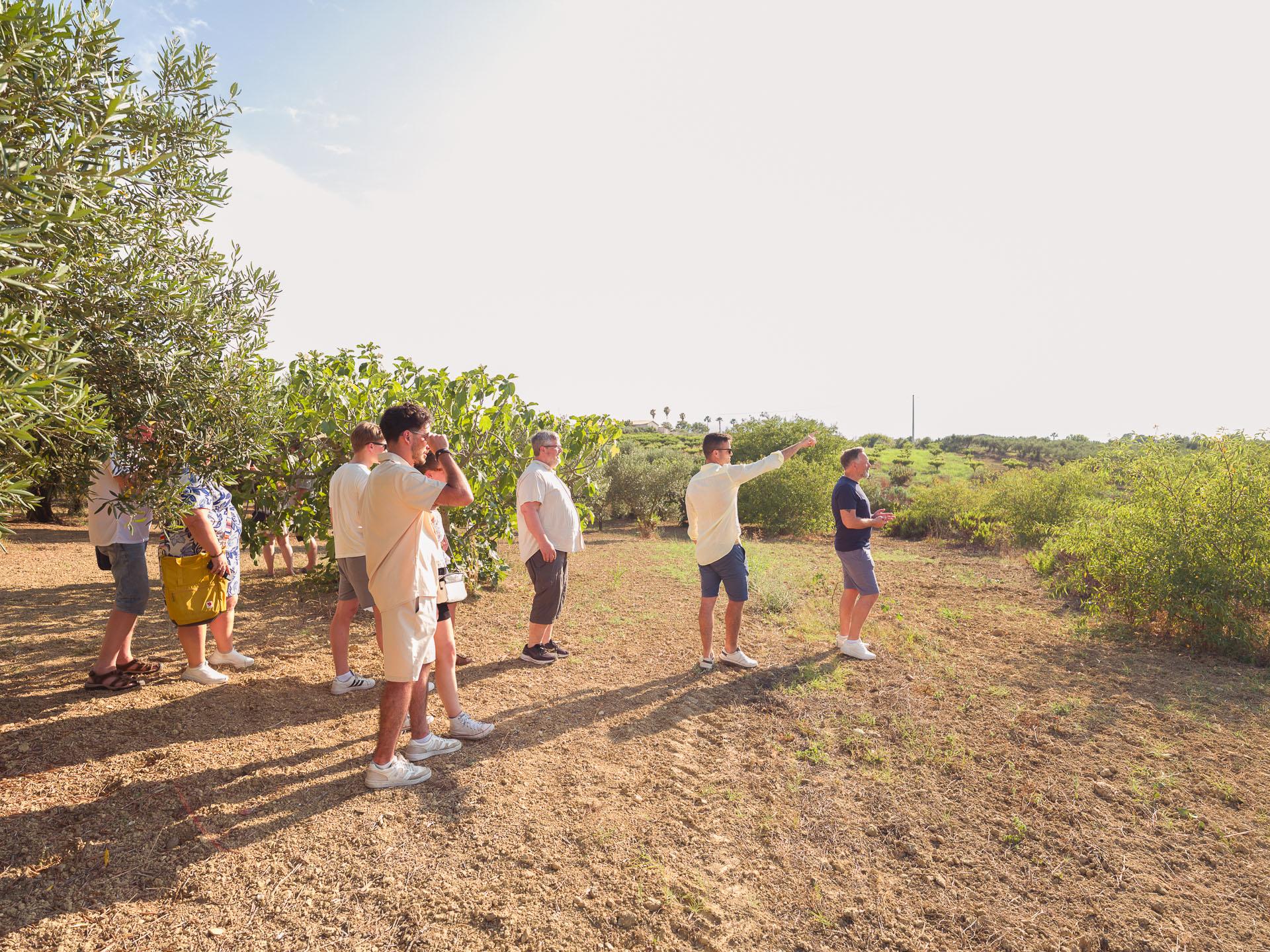 olive oil tasting in Sicily — photo 11
