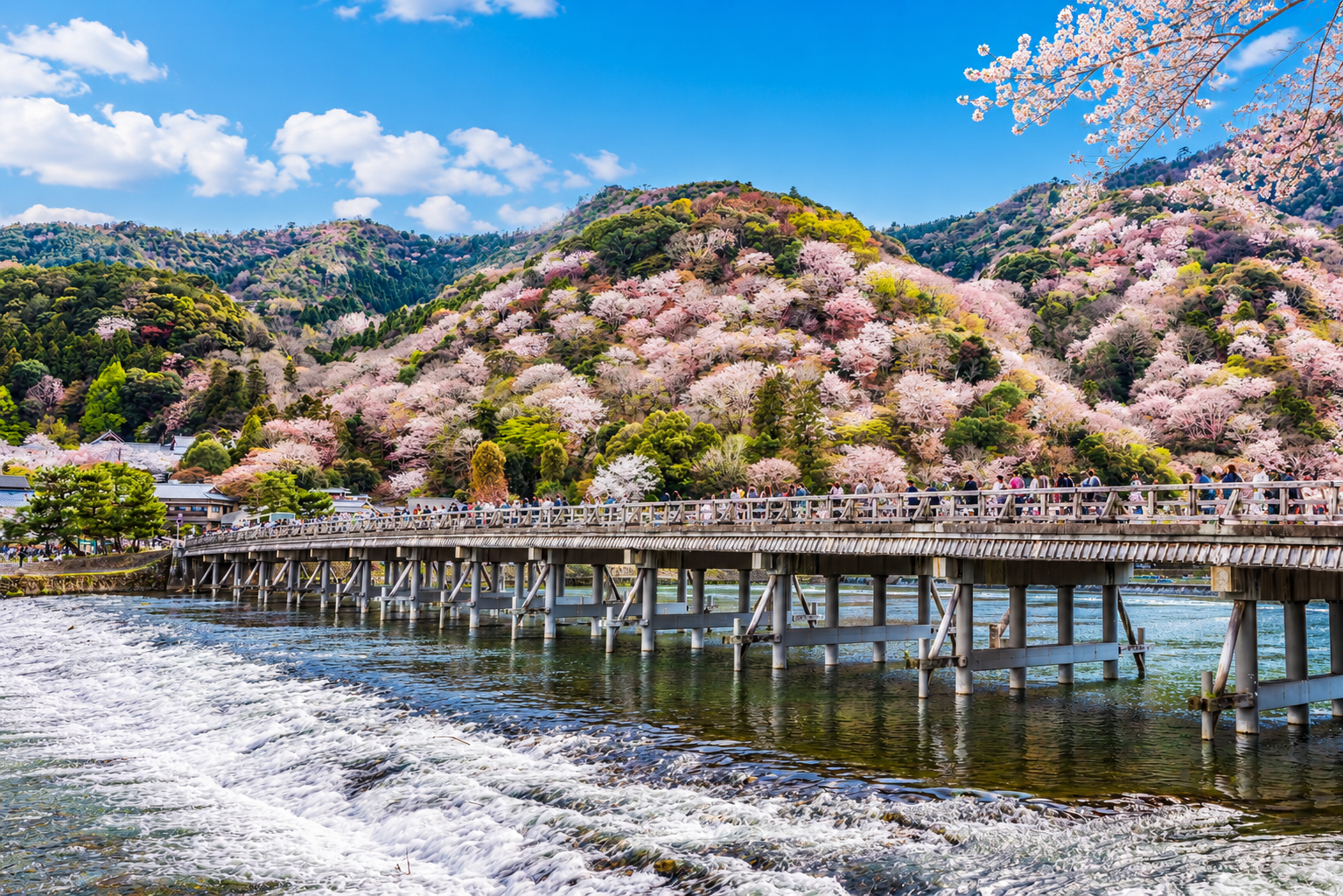 Kyoto & Nara Highlights Bus Tour from Osaka or Kyoto