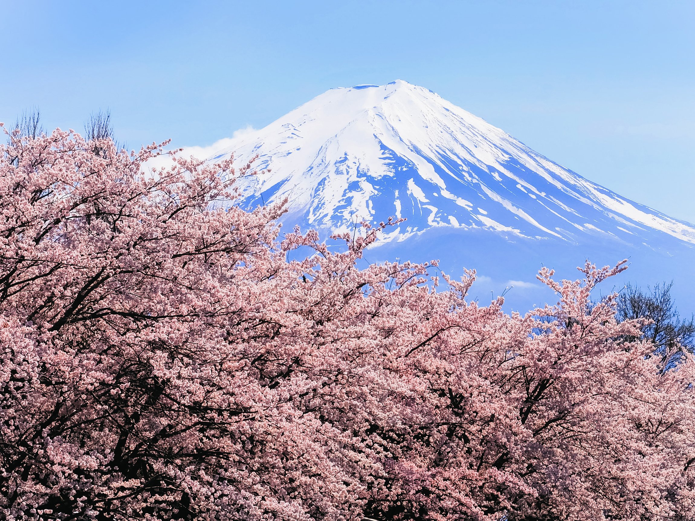 Tokyo Mt Fuji 5th St & Hakone Cruise Bus Tour w/Bullet Train