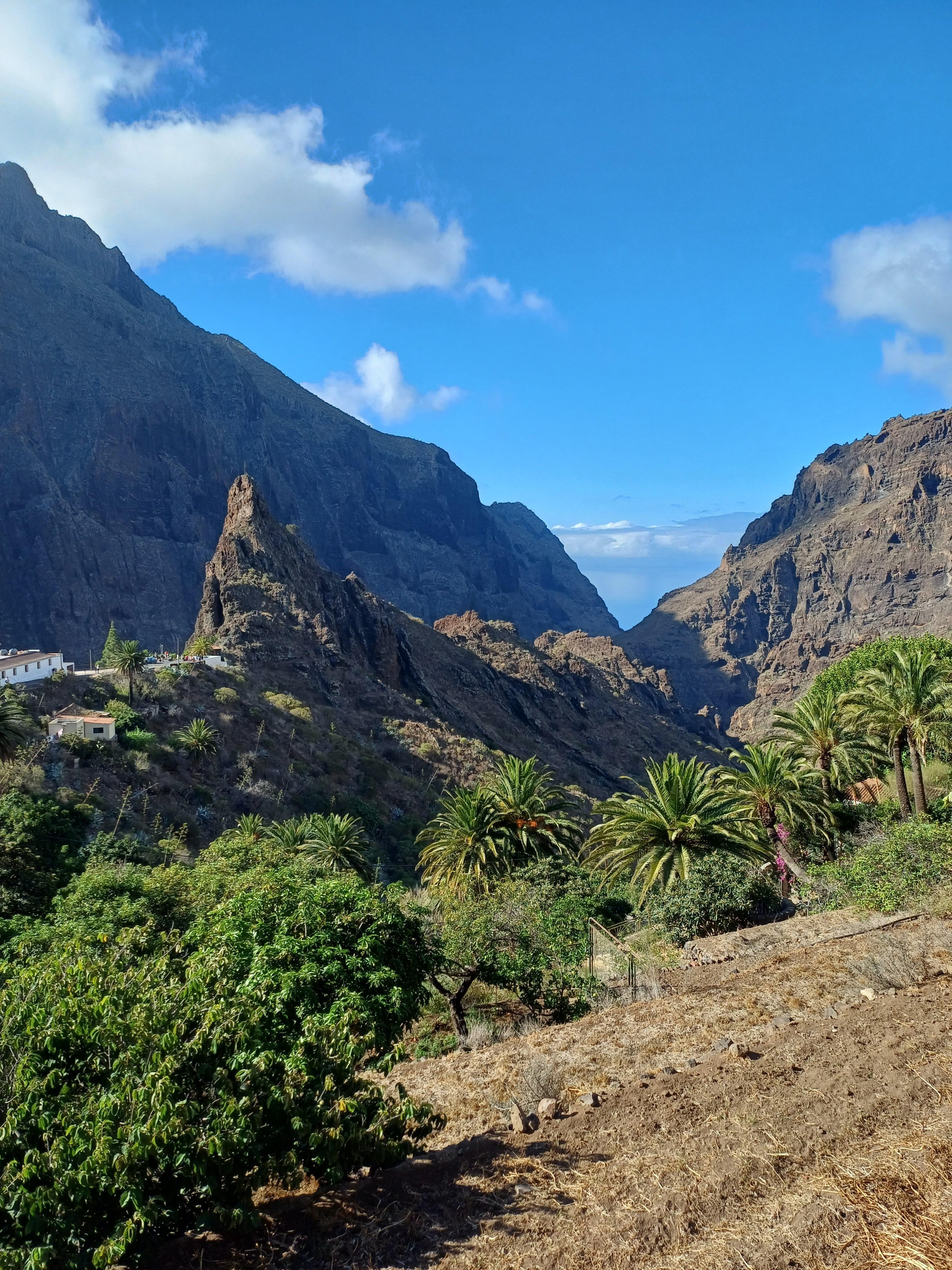 Tenerife: Masca Village, Wine & Tapas Tour