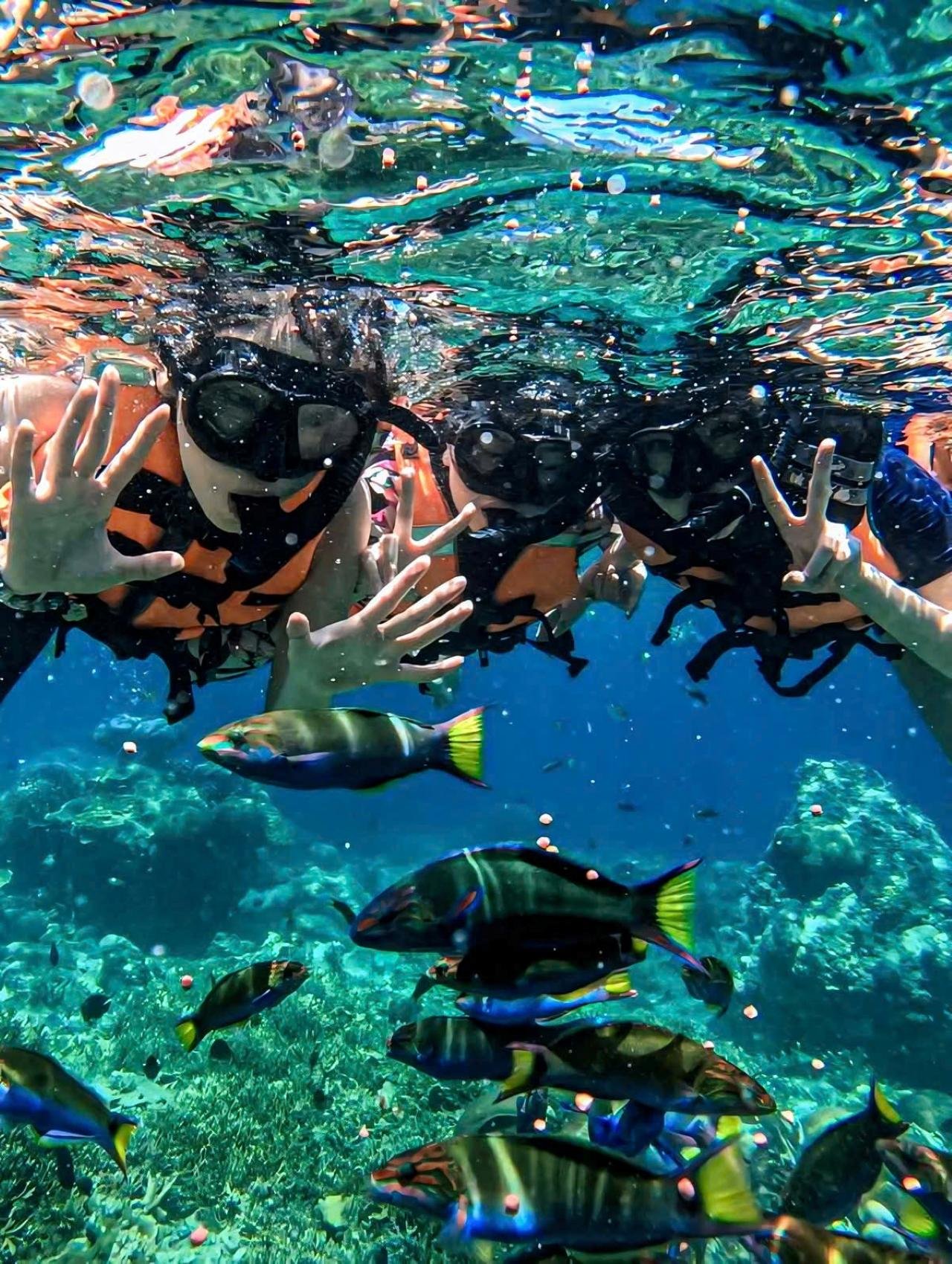 Cham Island Snorkeling & Beach Day Trip from Hoi An