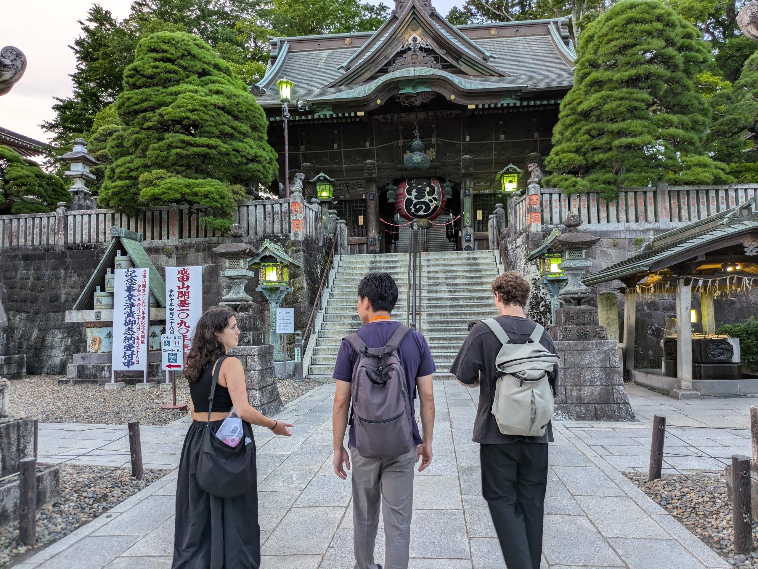 Narita Airport Layover: Private Guided Tour of Temple & Old Town