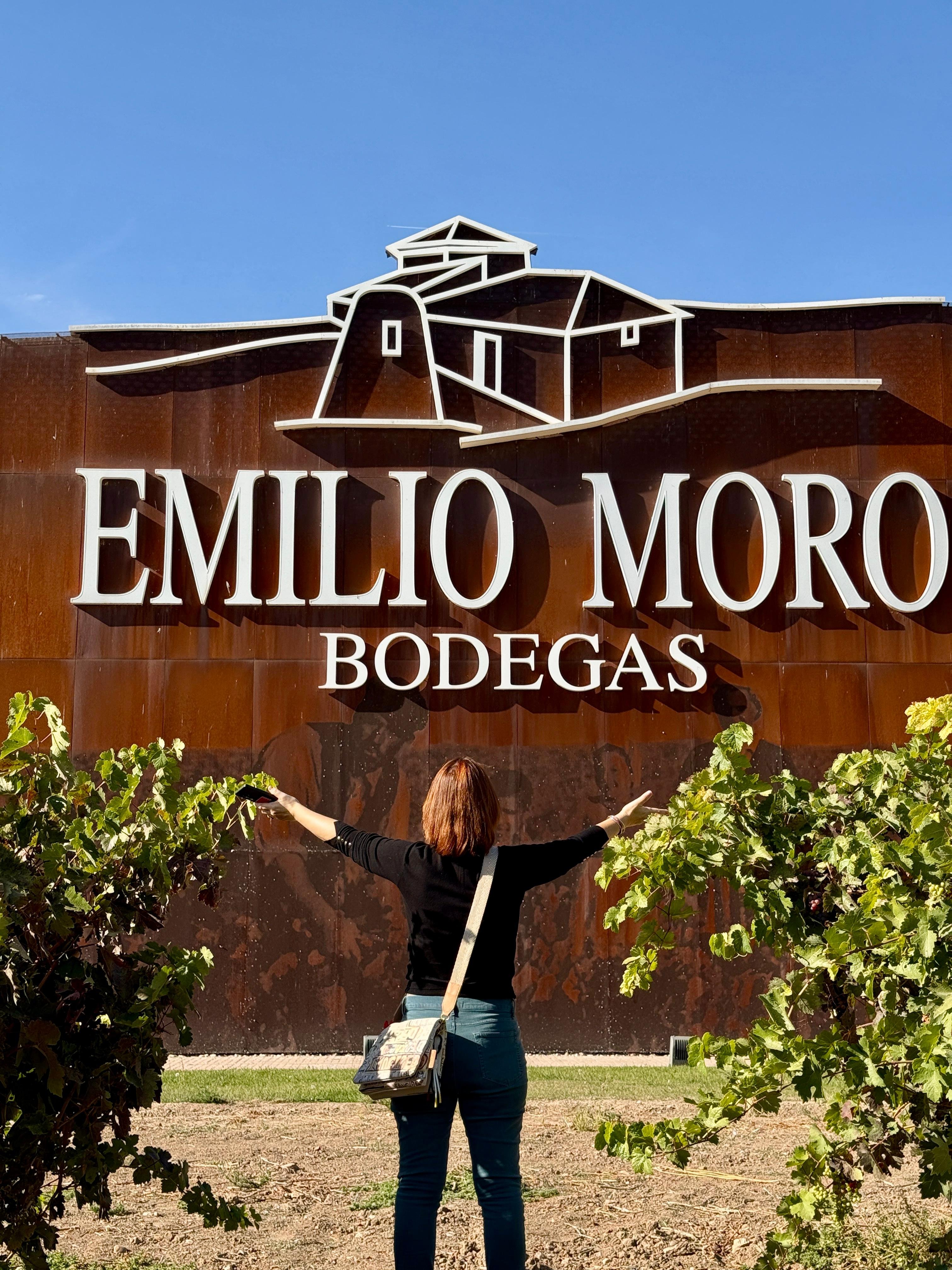 Ribera del Duero Wine Region Discovery from Madrid