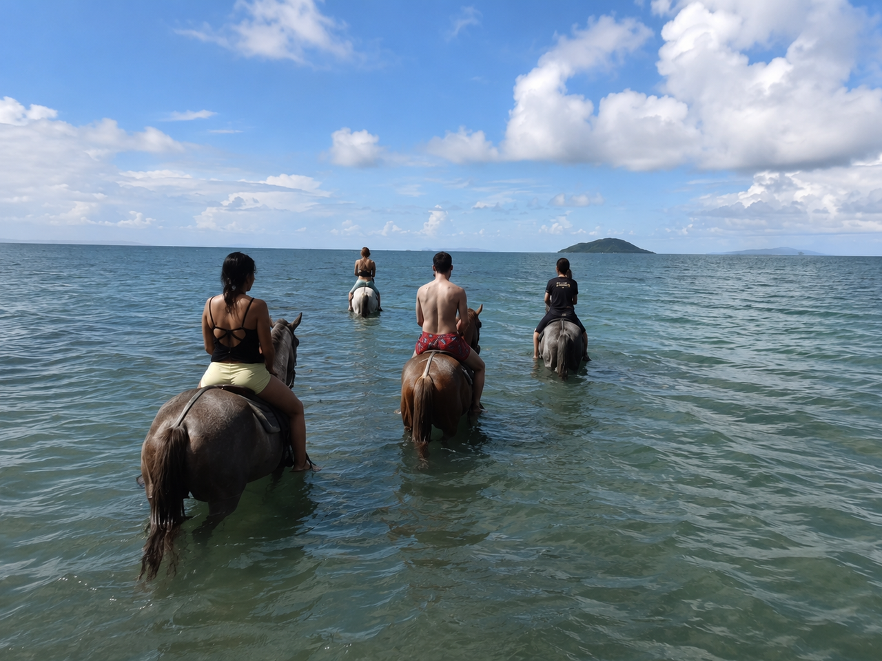 Vieques Black Sand Beach Horse Riding Adventure
