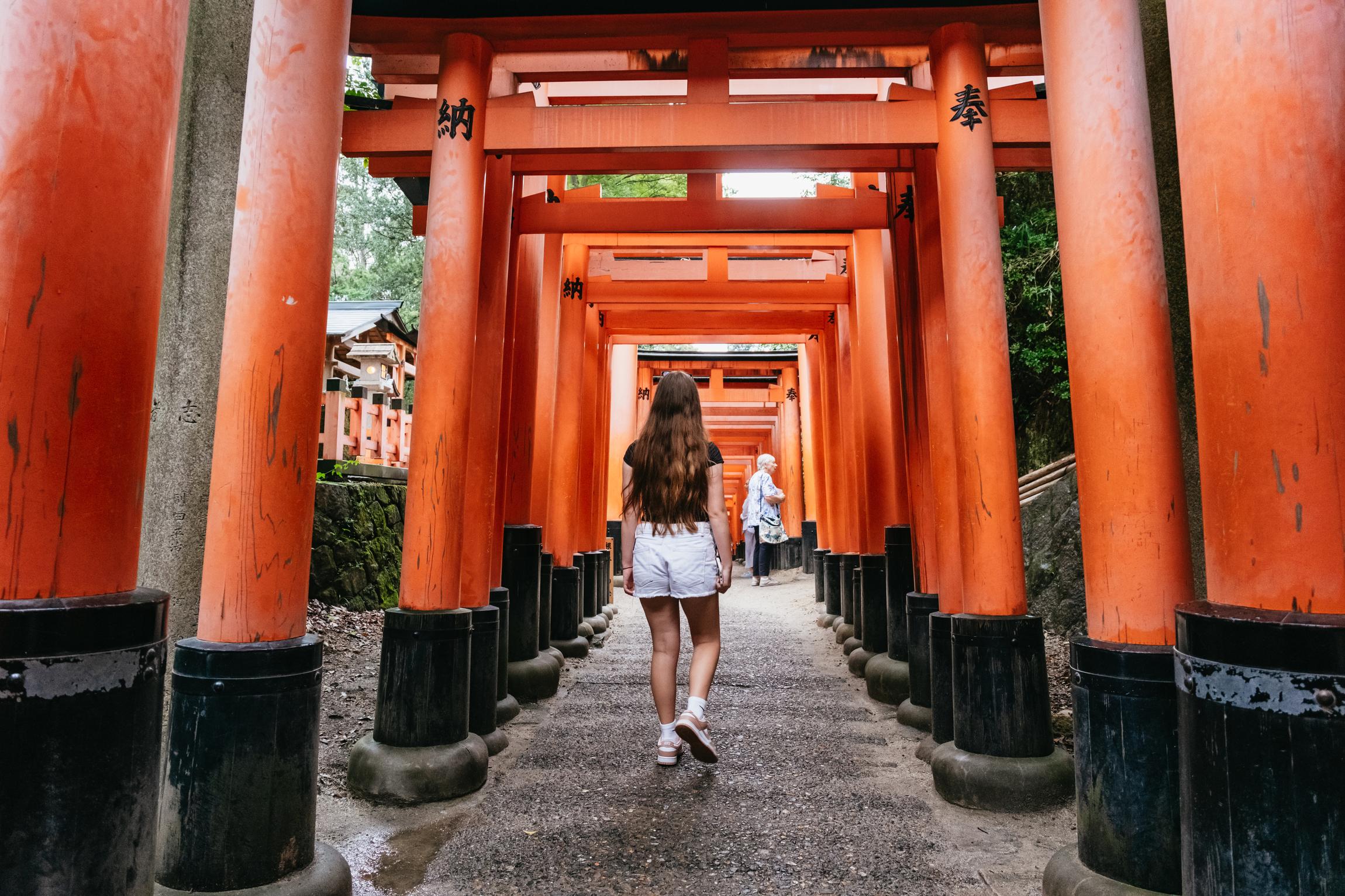 Kyoto in a Day: Bamboo Grove, Nijo Castle & Fushimi Inari Bus Tour