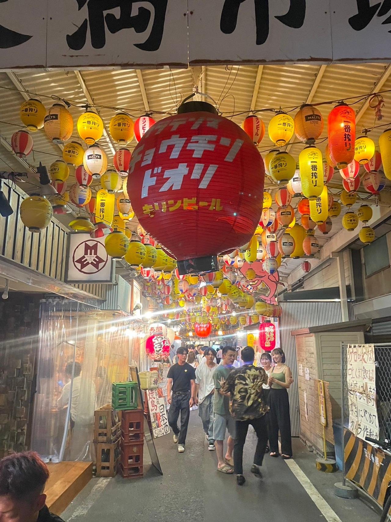 Private Customizable Osaka Walking Tour with Local Guide