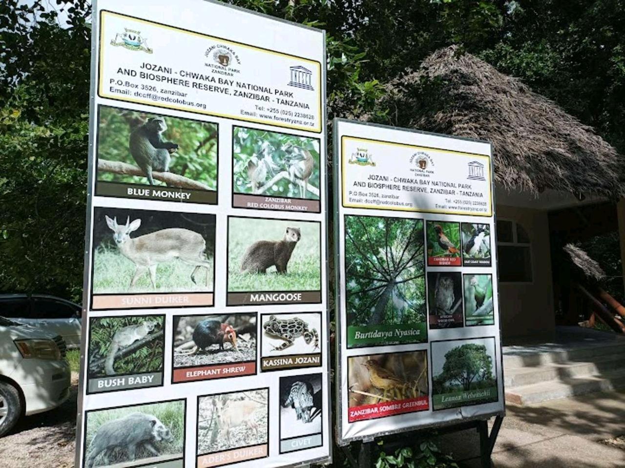 Zanzibar: Jozani Forest, Swahili Cave & Mtende Beach Day Tour
