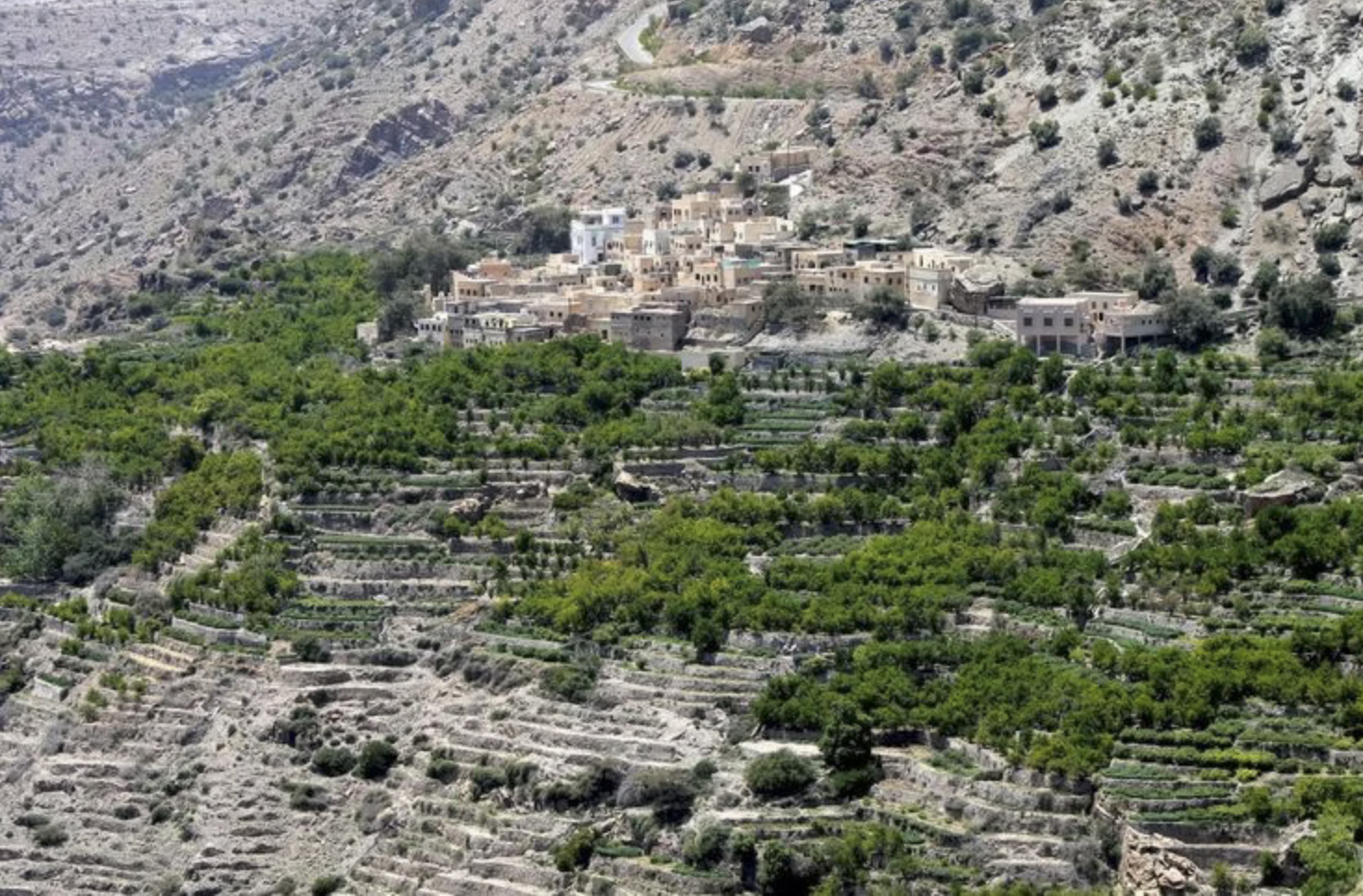 Jabal Akhdar Sunset Experience