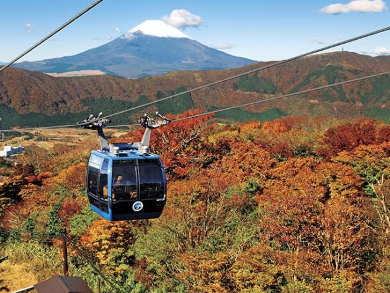 Private Nikko Day Tour from Tokyo with English-Speaking Guide