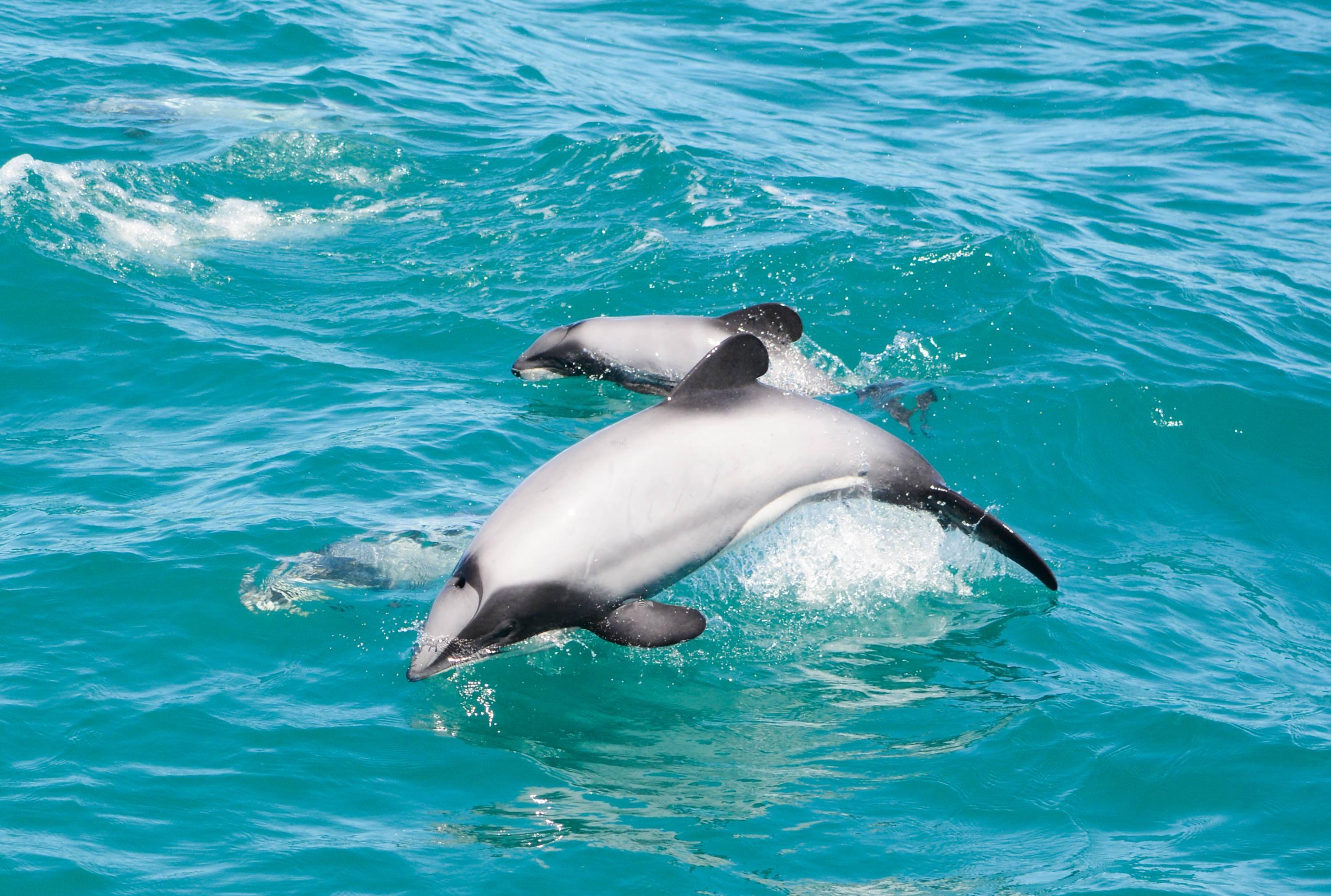 South Island tour photo — image 17