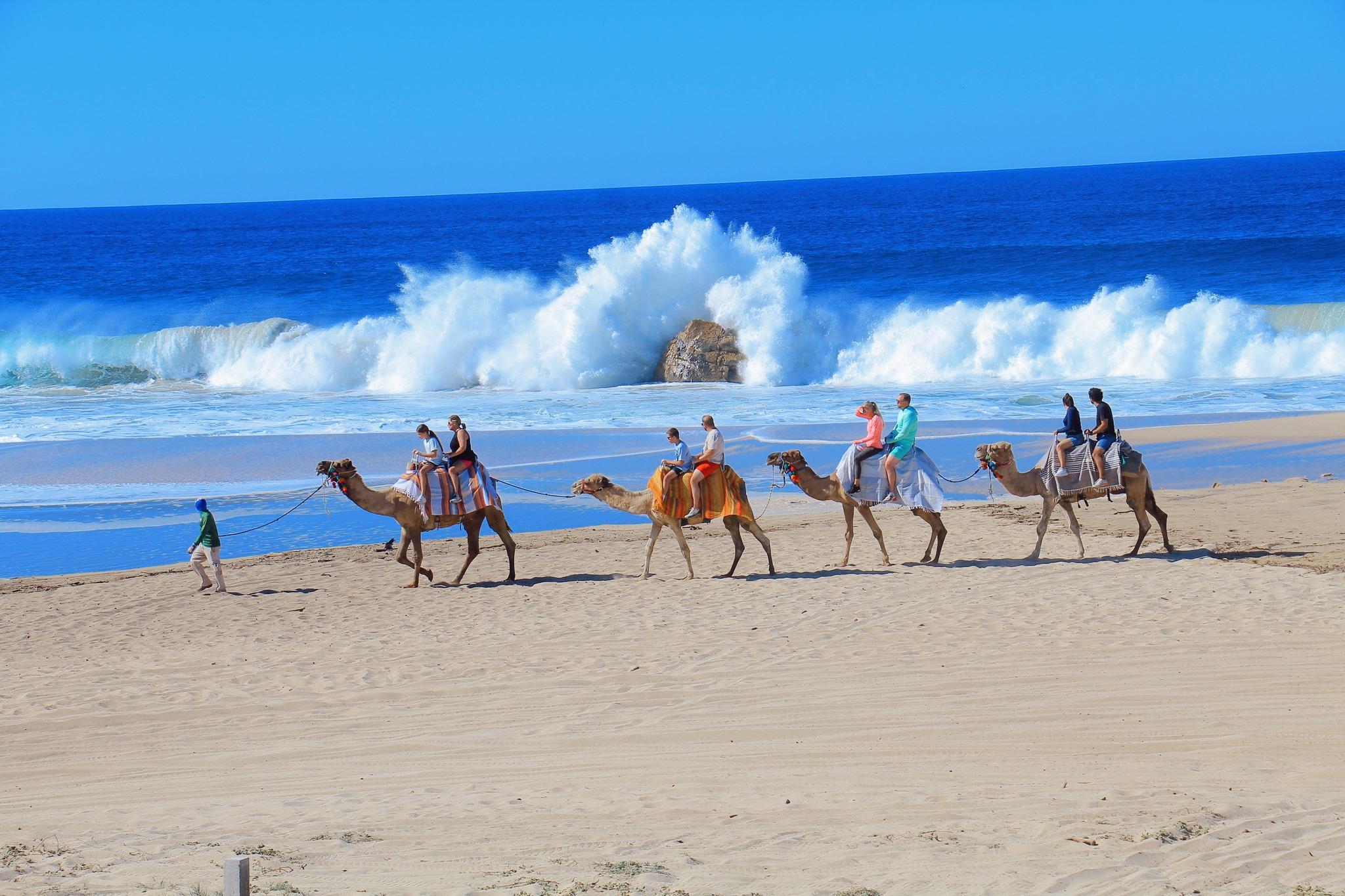 Cabo Camel Ride & UTV Desert Combo