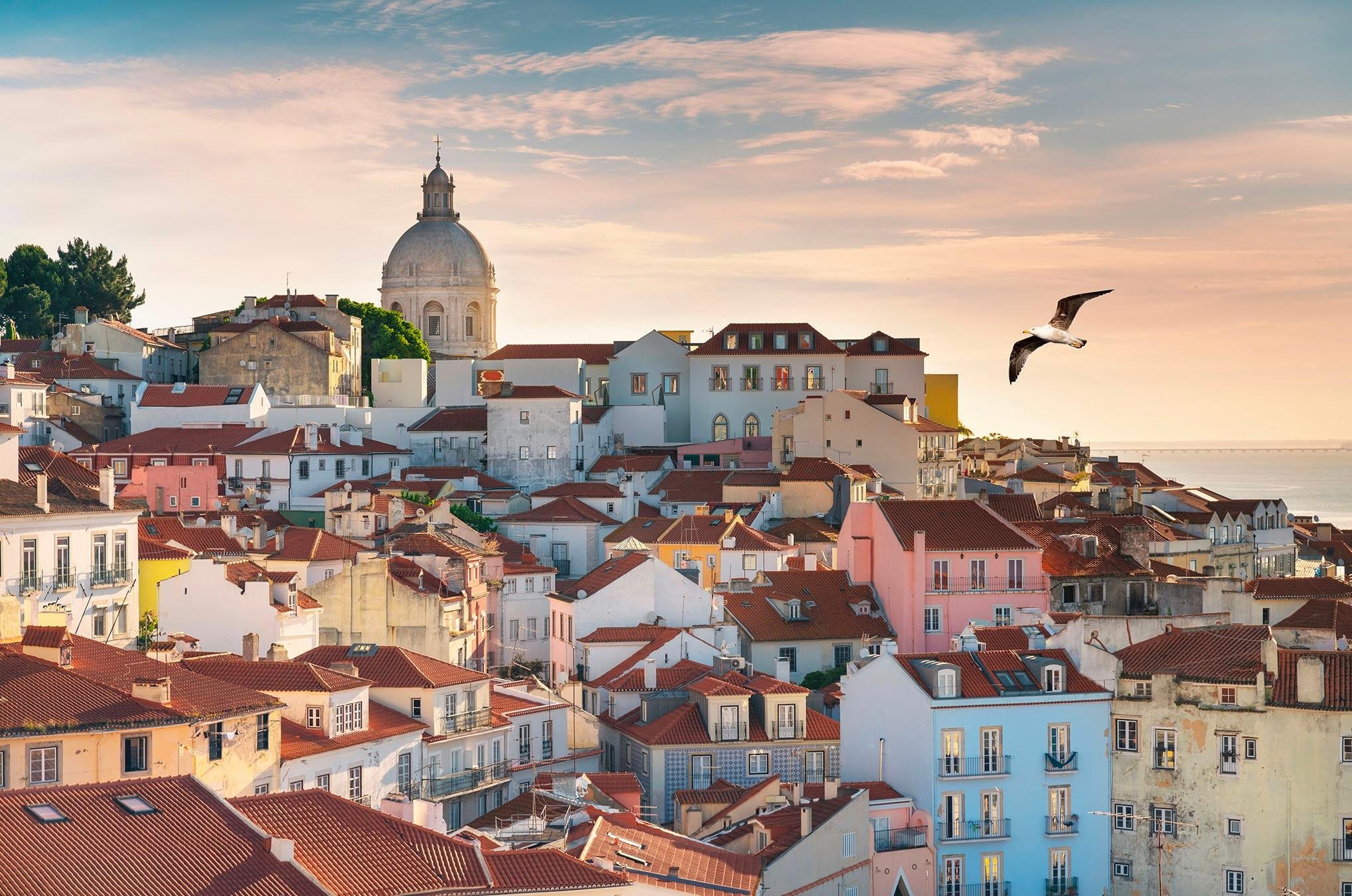 Lisbon: Private Guided Tuk Tuk Tour With Hotel Pickup