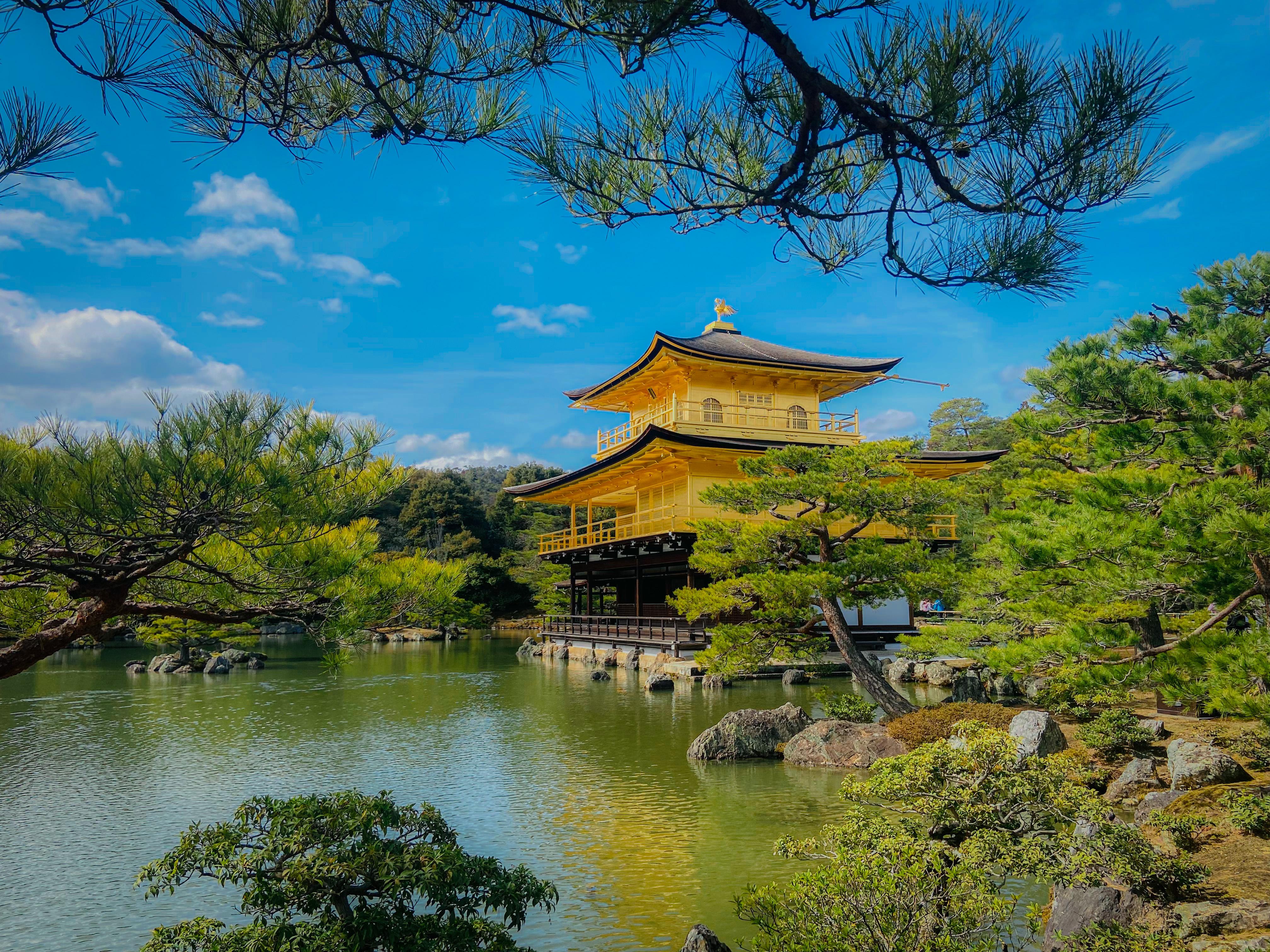 Kyoto Private Day Tour with Guide & Vehicle