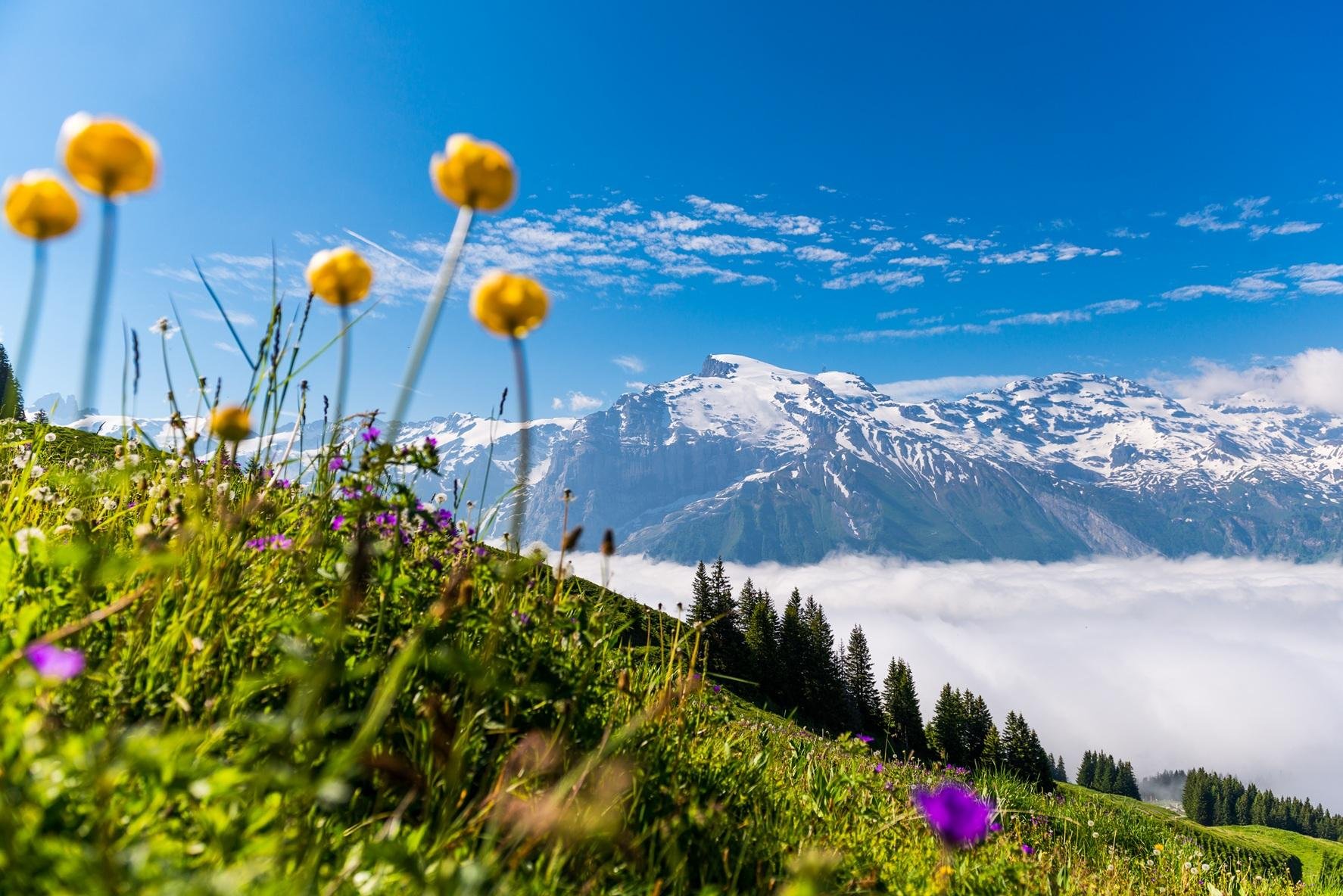 Mt. Titlis Glacier & Lucerne Day Trip from Zurich