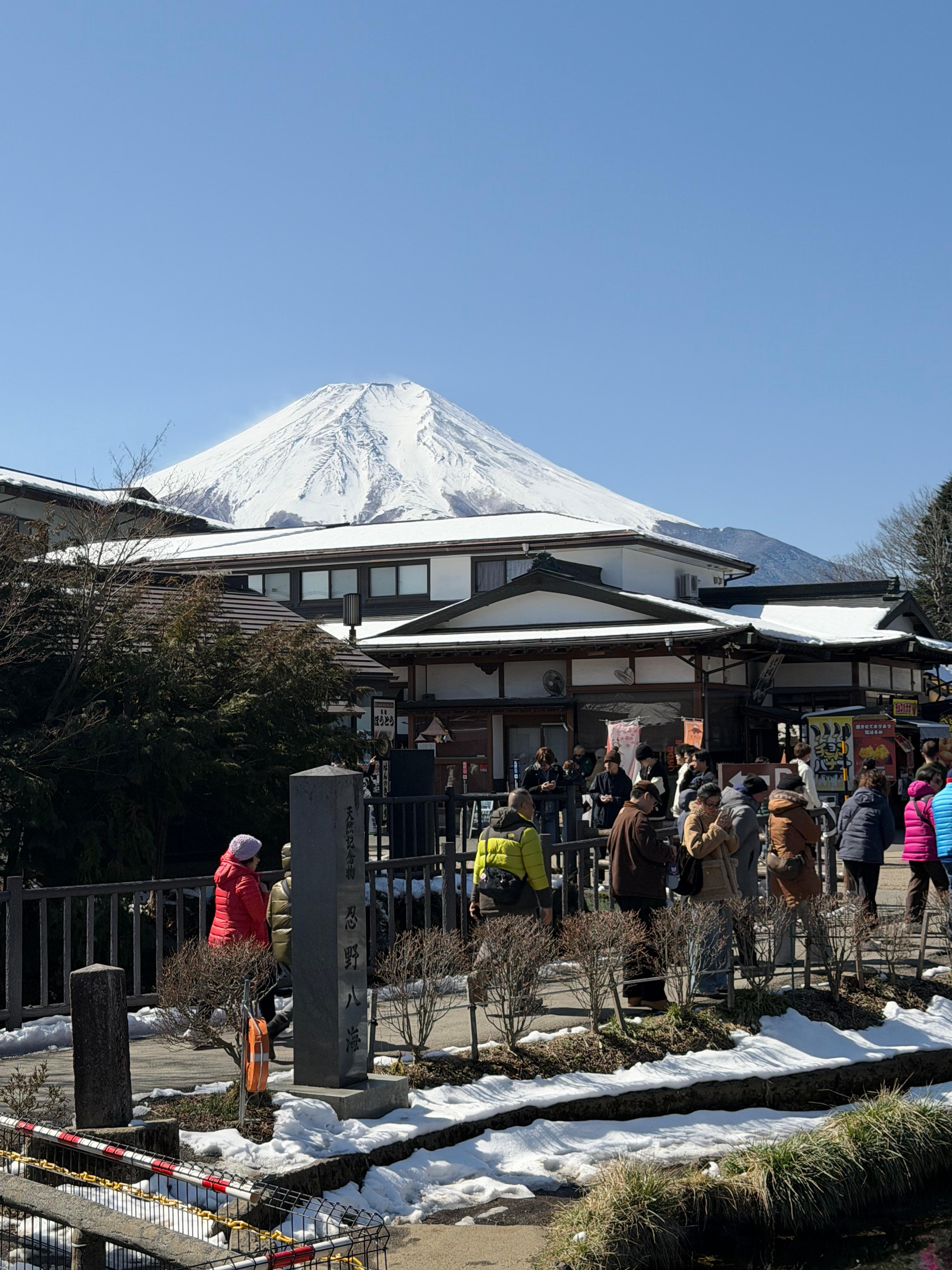 Tokyo to Mt. Fuji & Hakone: Private Full-Day Tour with English Driver