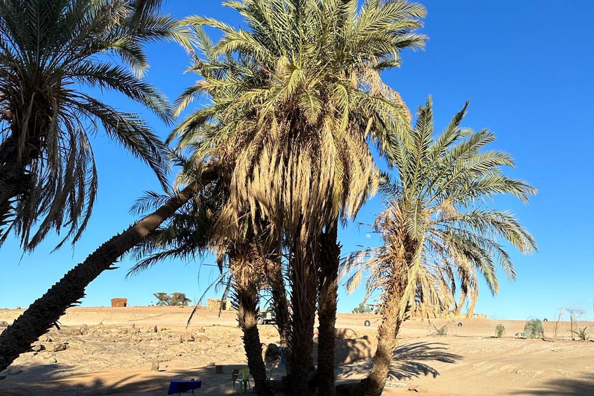 Private 5-Day Marrakech to Zagora & Merzouga Desert Tour