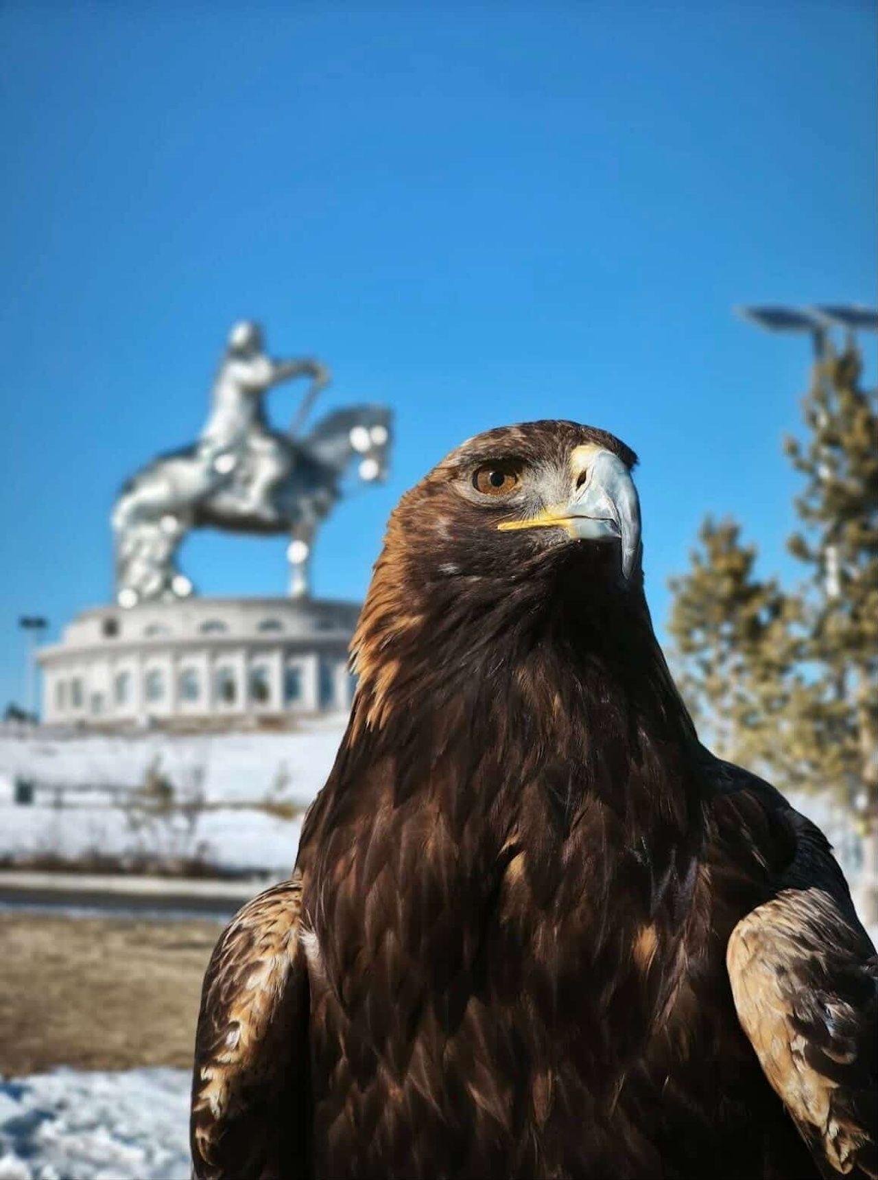 Genghis Khan Statue, Terelj National Park & Equestrian Show – Full-Day Tour