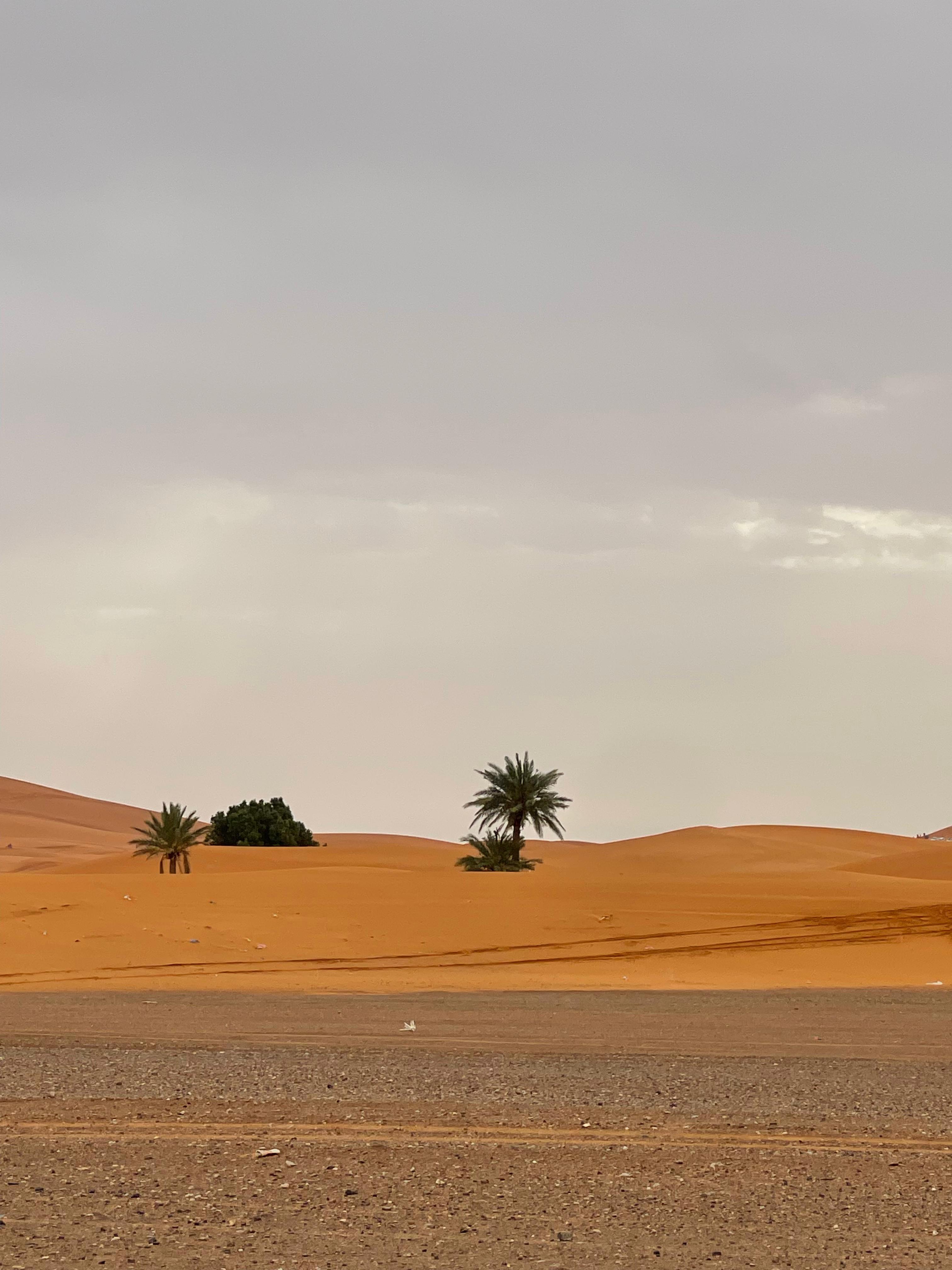 Merzouga Desert 4x4: Nomads, Mines & Gnawa Music in Khamlia