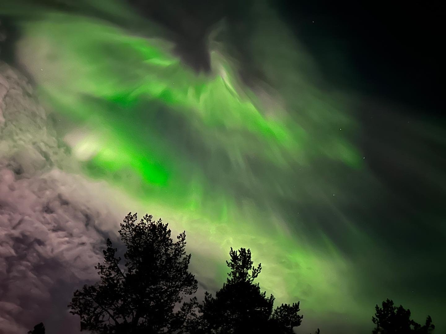 Northern lights tour, image 9
