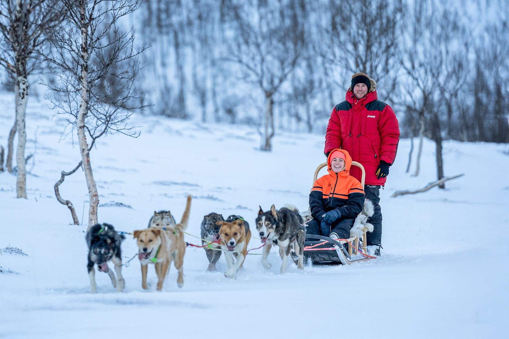 Advanced Dog Sledding Adventure at Camp Tamok